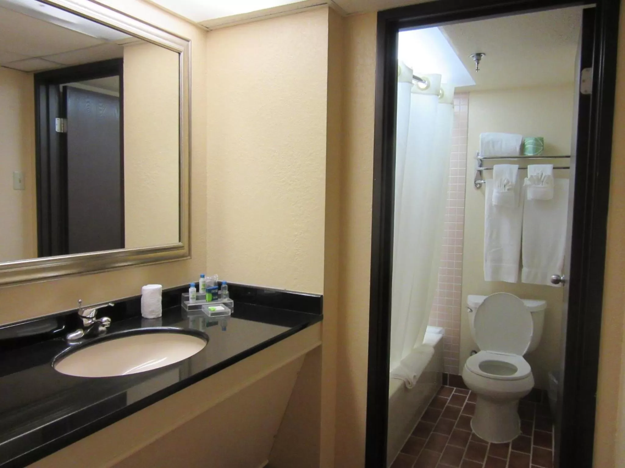 Bathroom in Atrium Hotel and Suites DFW Airport