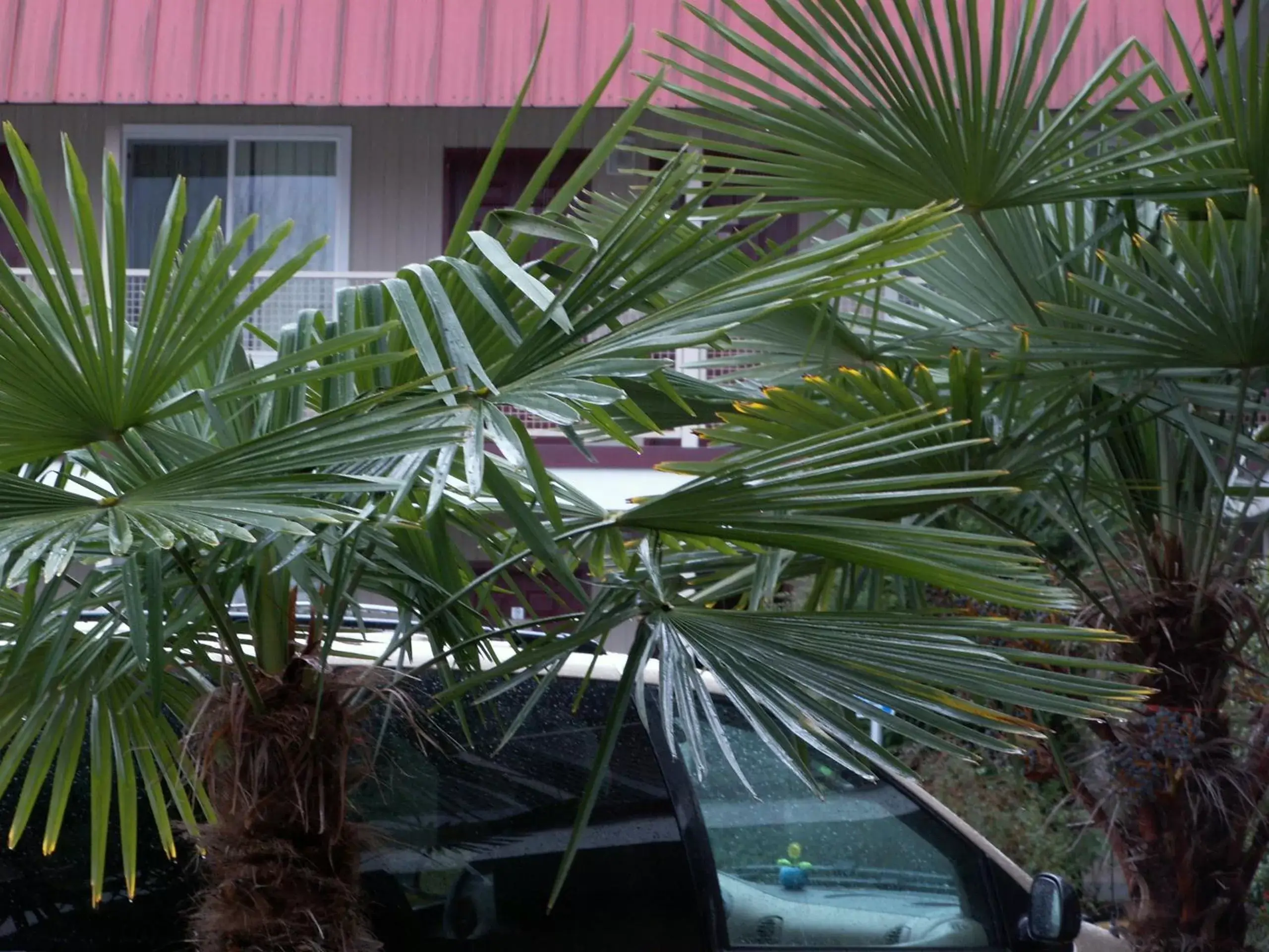 Facade/entrance in Express Inn & Suites Eugene Facade/entrance in Express Inn & Suites Eugene