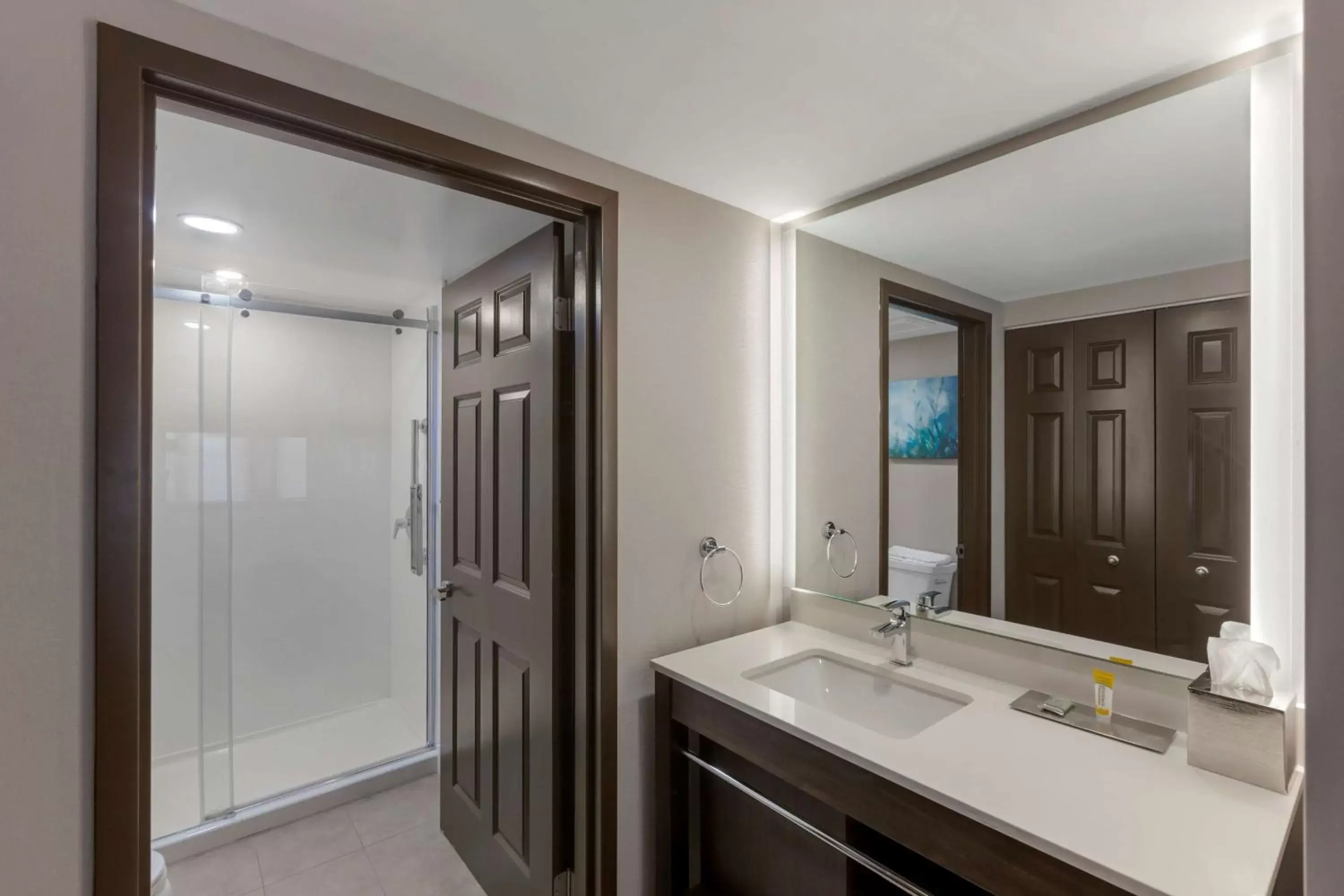 Bathroom in Executive Residency by Best Western Toronto-Mississauga