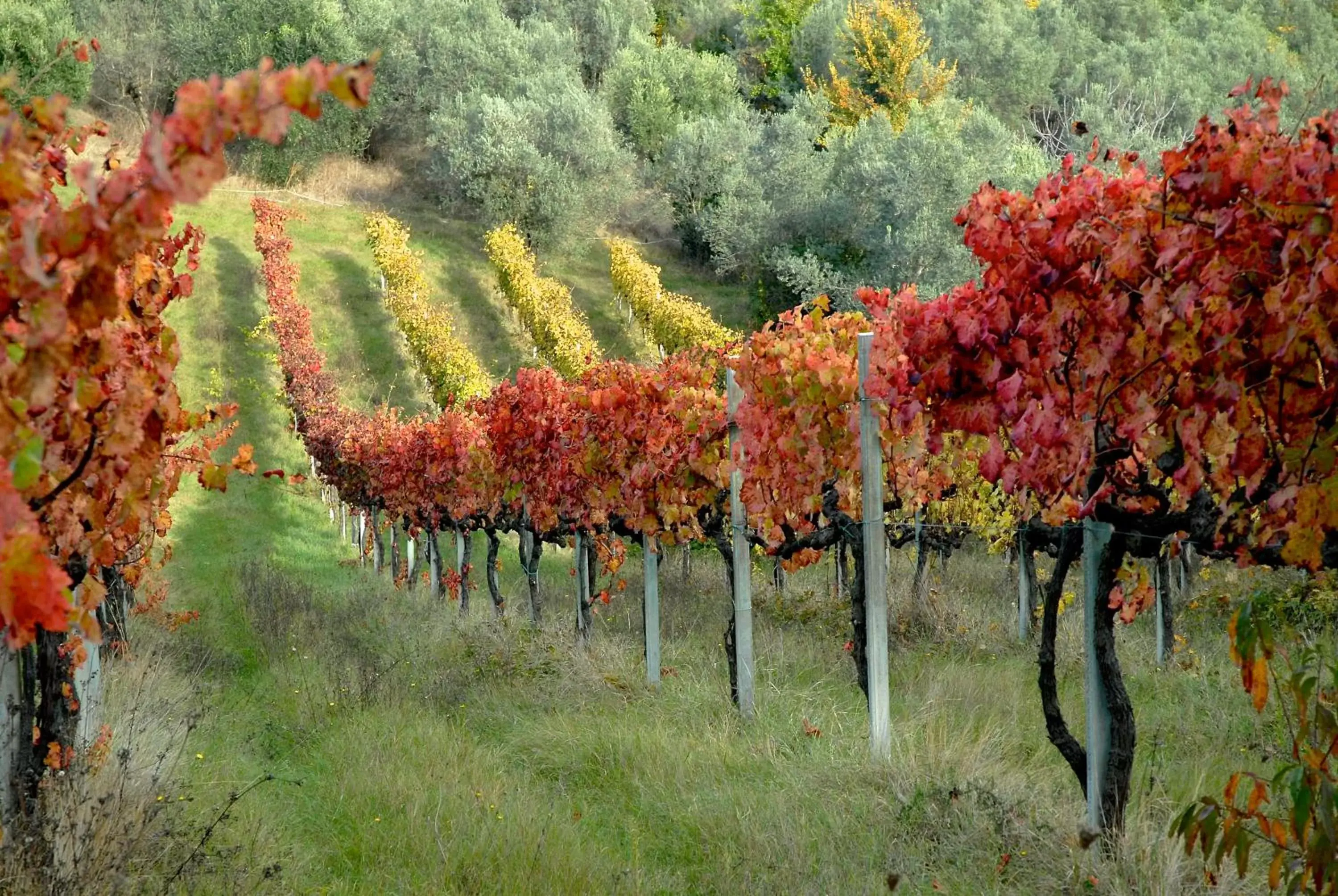 Natural landscape in Palazzo Sant'Angelo