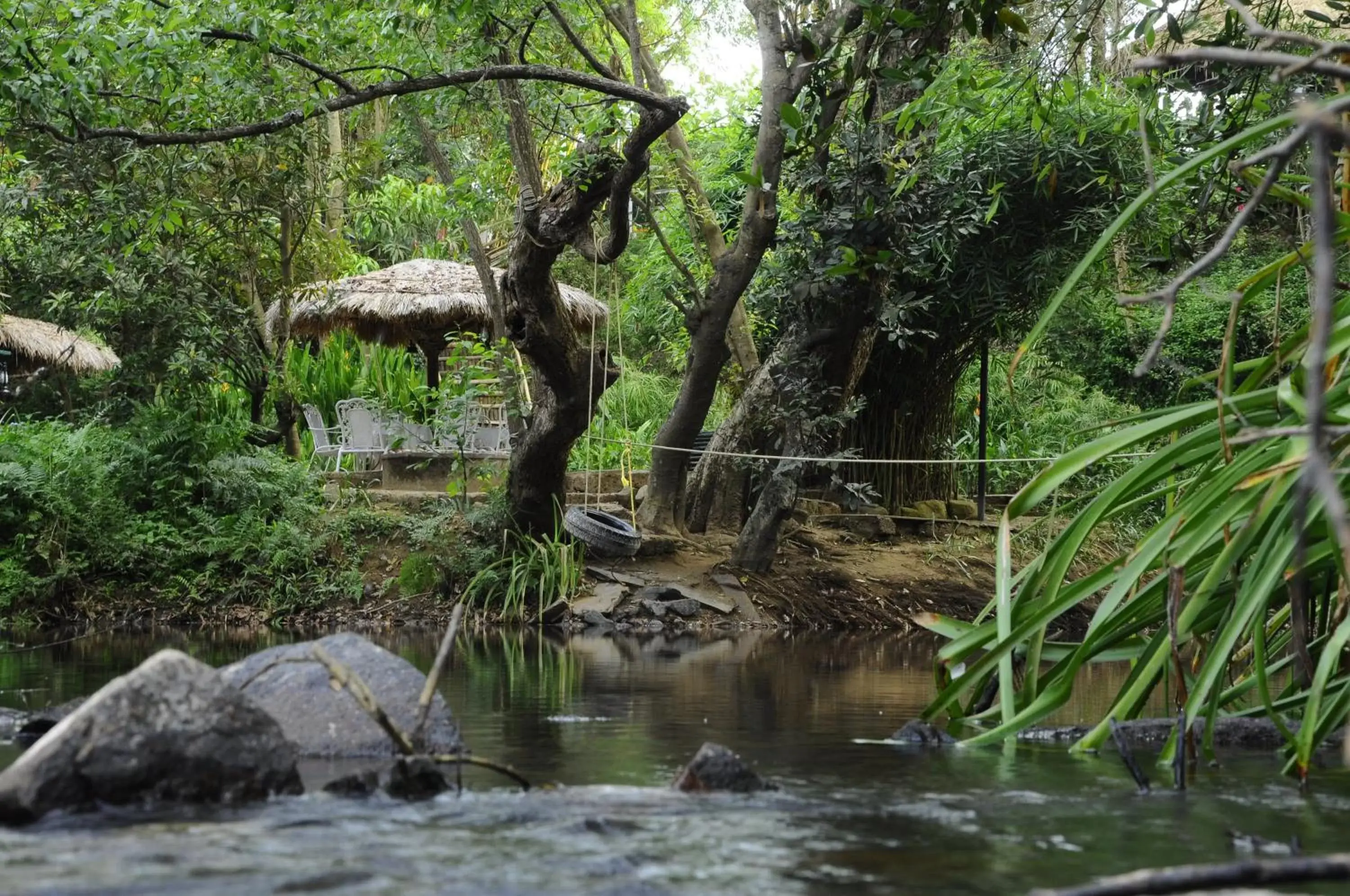 Natural landscape in Amanvana Spa Resort, Coorg