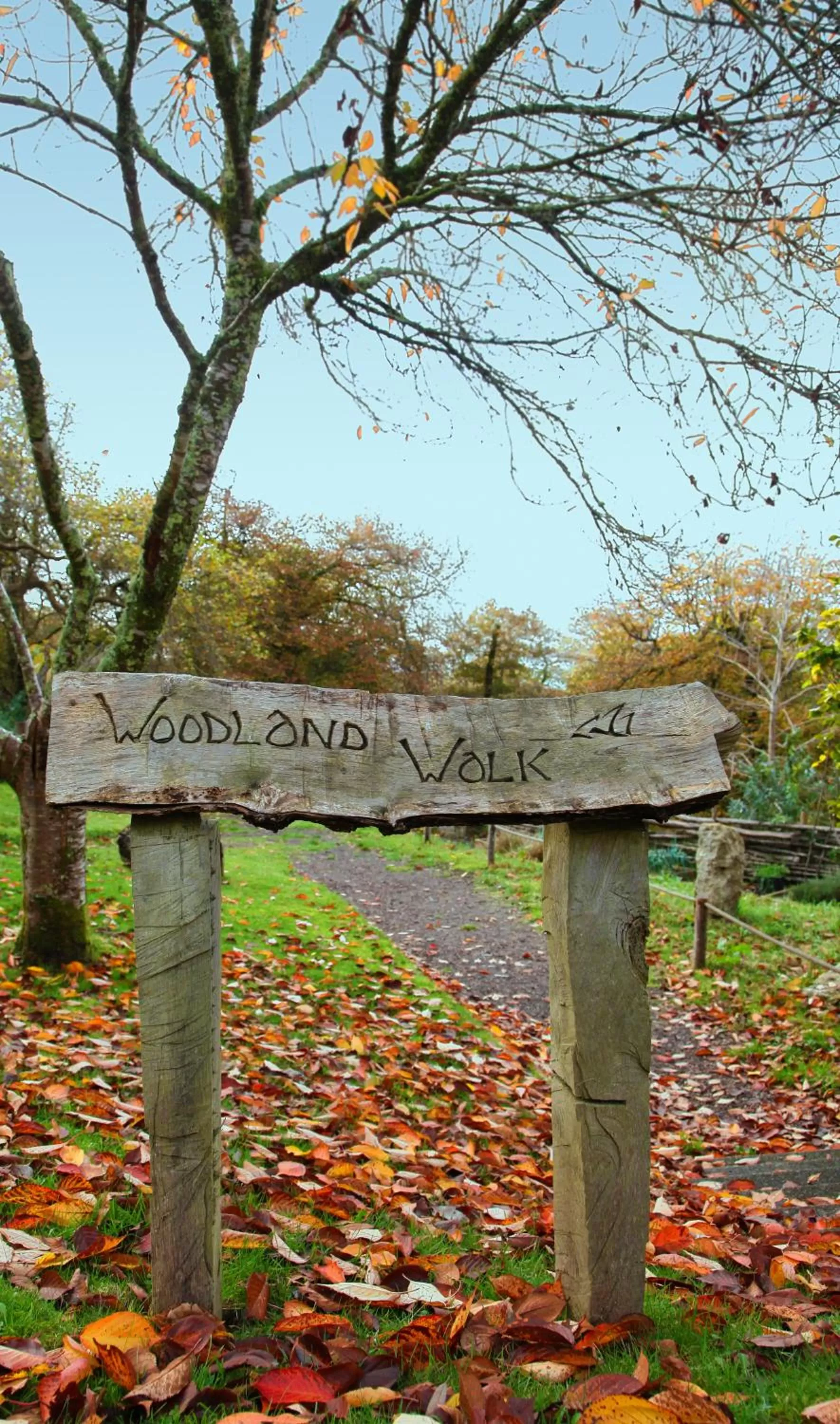 Area and facilities in Trenython Manor Resort