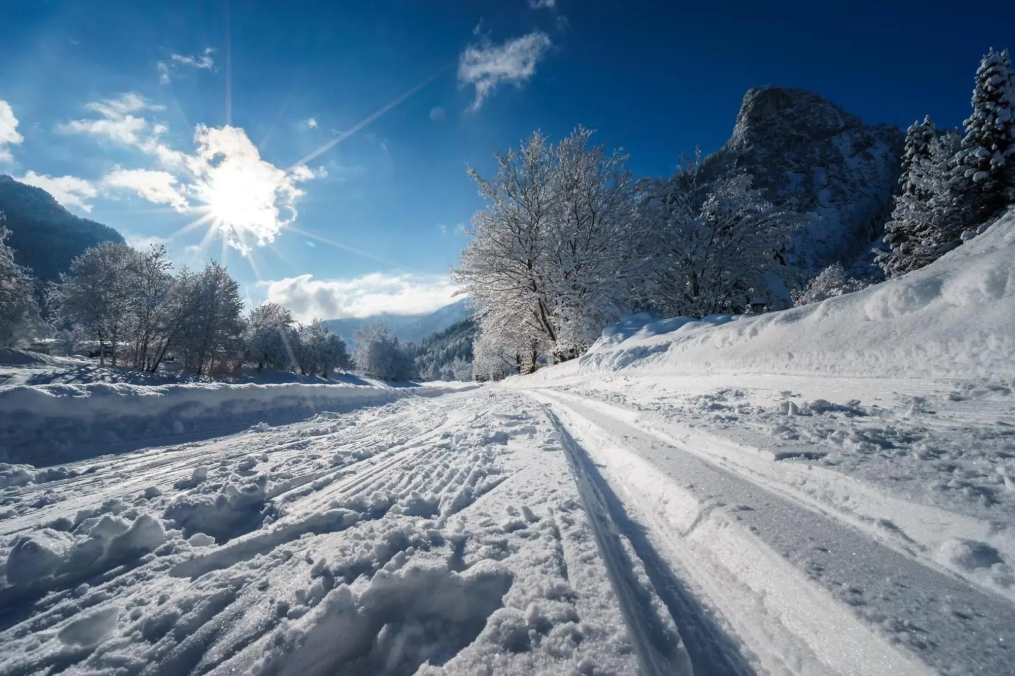 Natural landscape, Winter in Parkhotel Sonnenhof