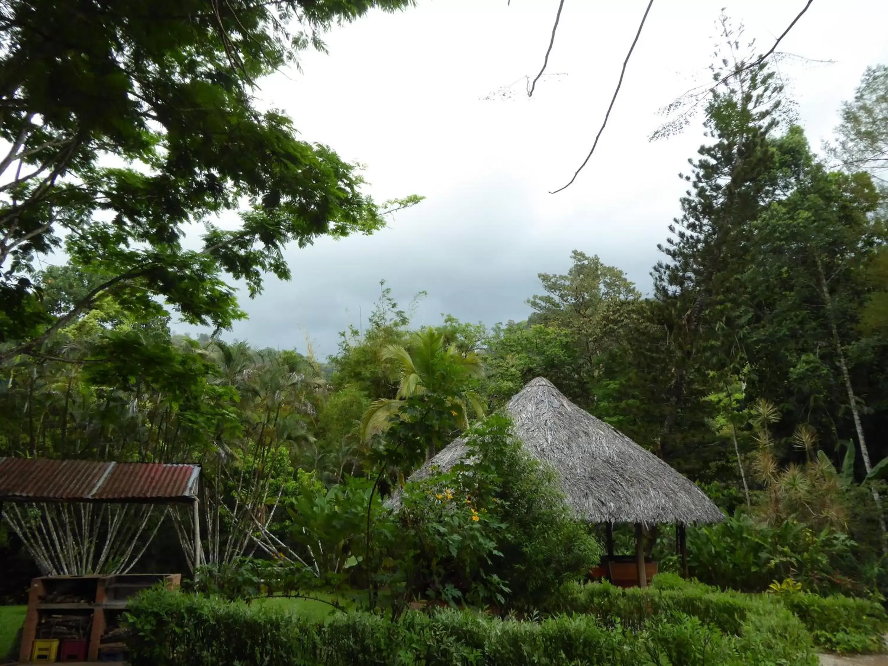 Garden view in La Purruja Lodge
