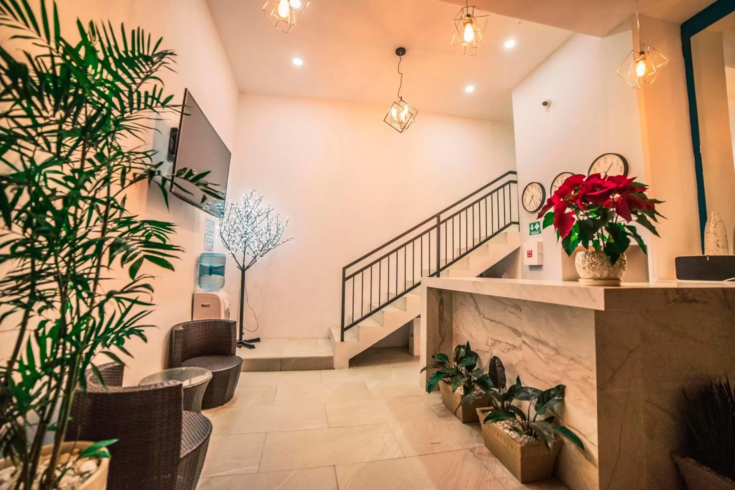 Living room, Lobby/Reception in Asilé Hotel Boutique