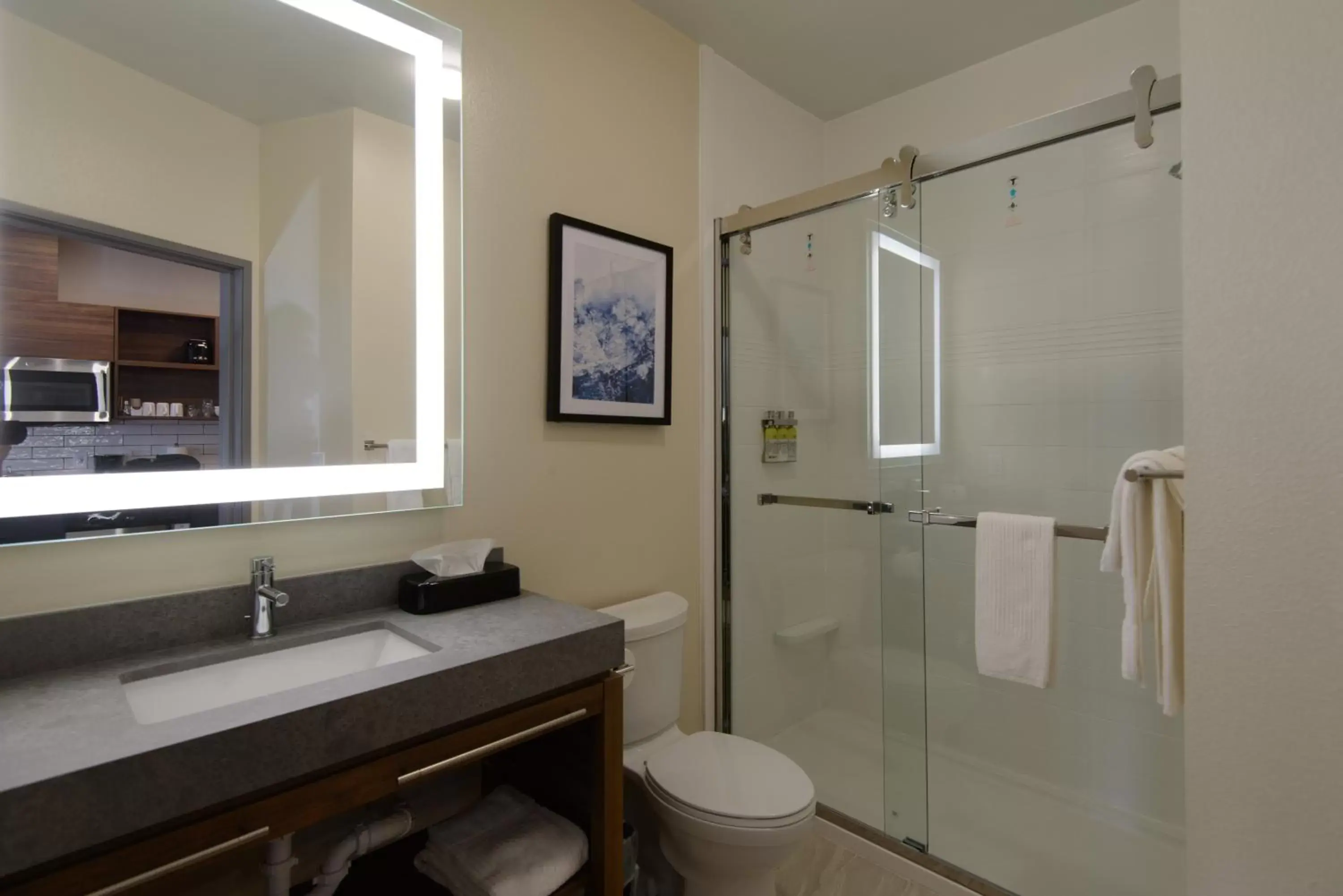 Bathroom in Candlewood Suites - Corpus Christi - Portland, an IHG Hotel