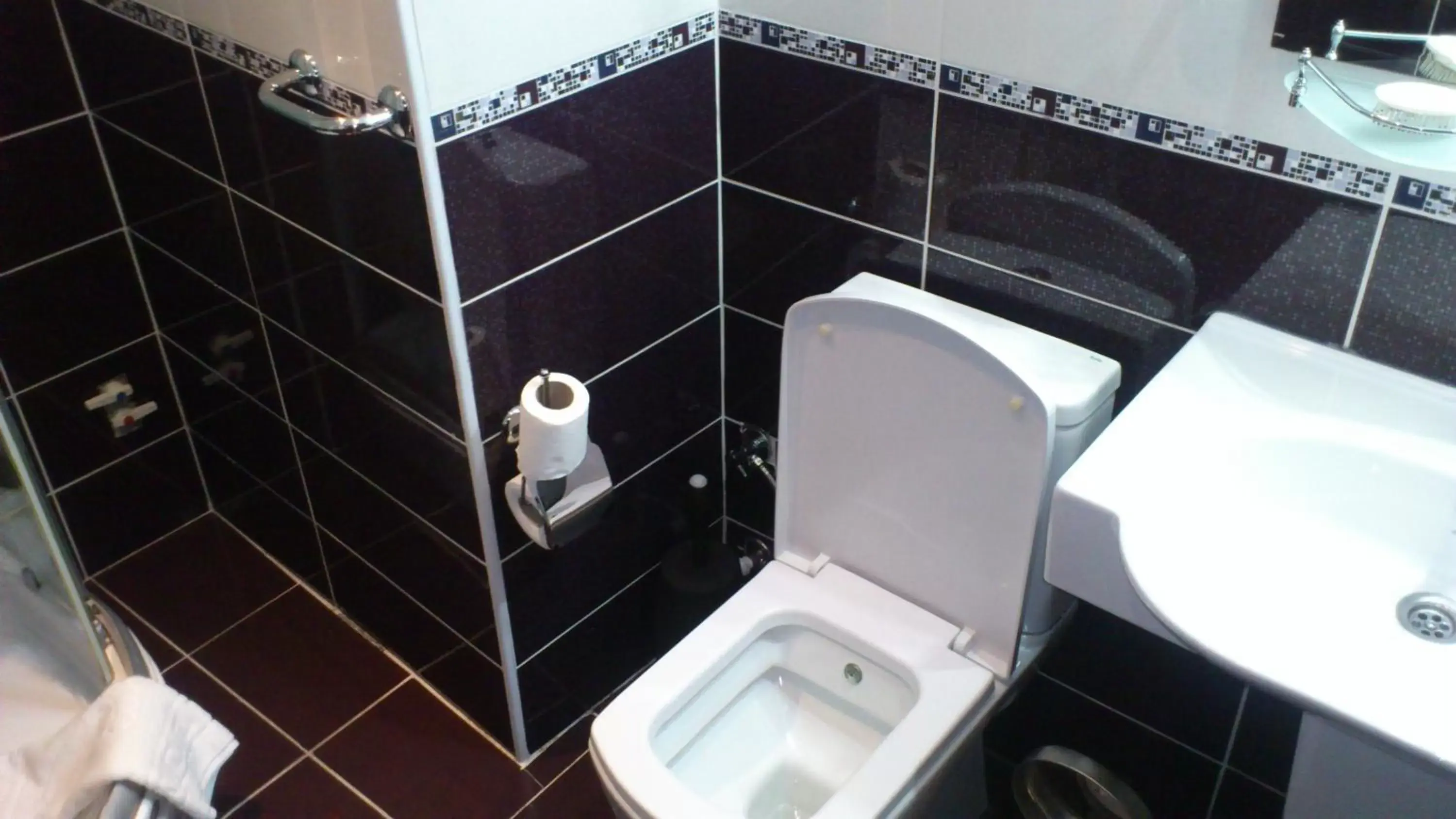 Toilet, Bathroom in Basileus Hotel