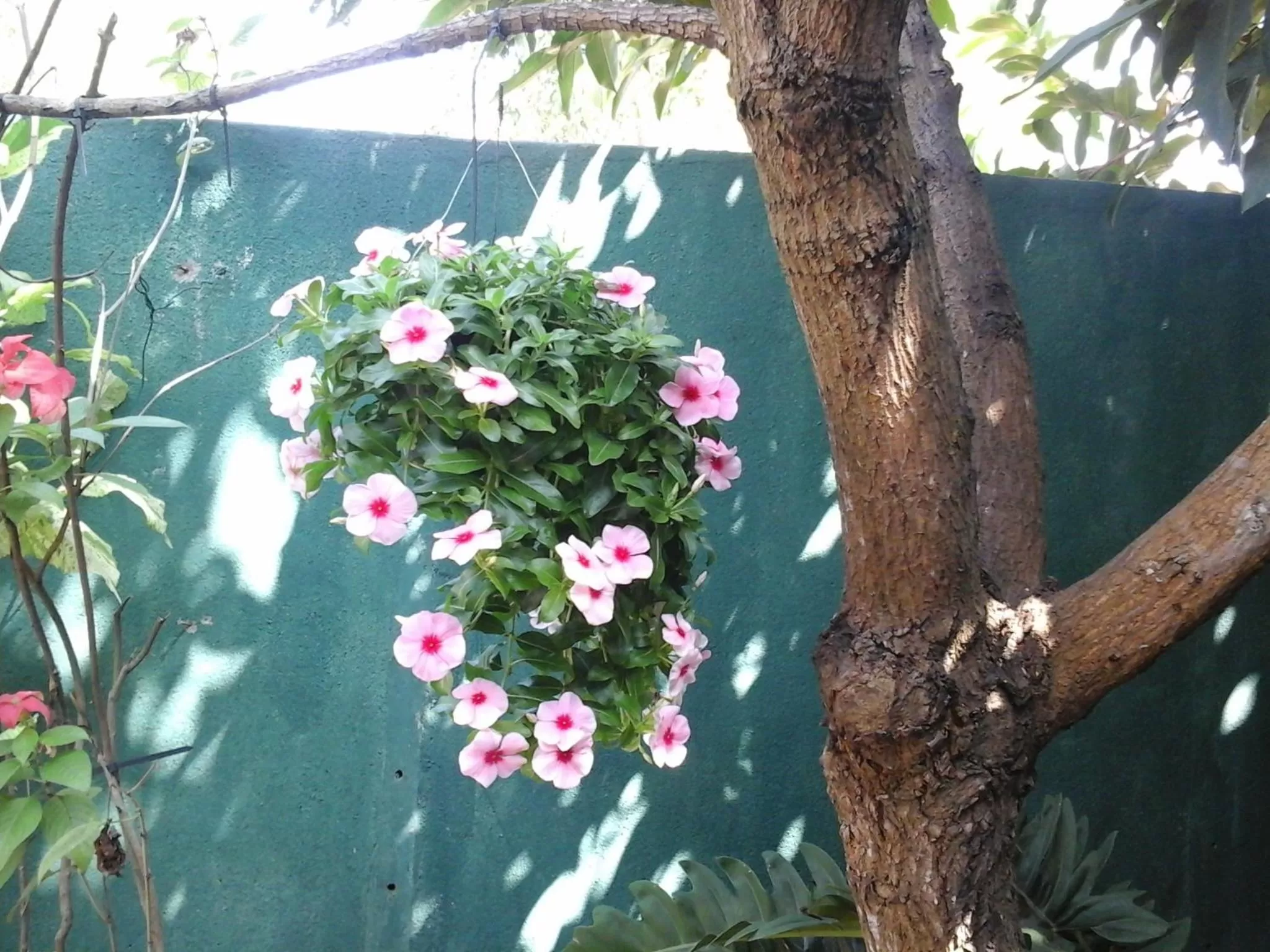 Day in House Of Esanya