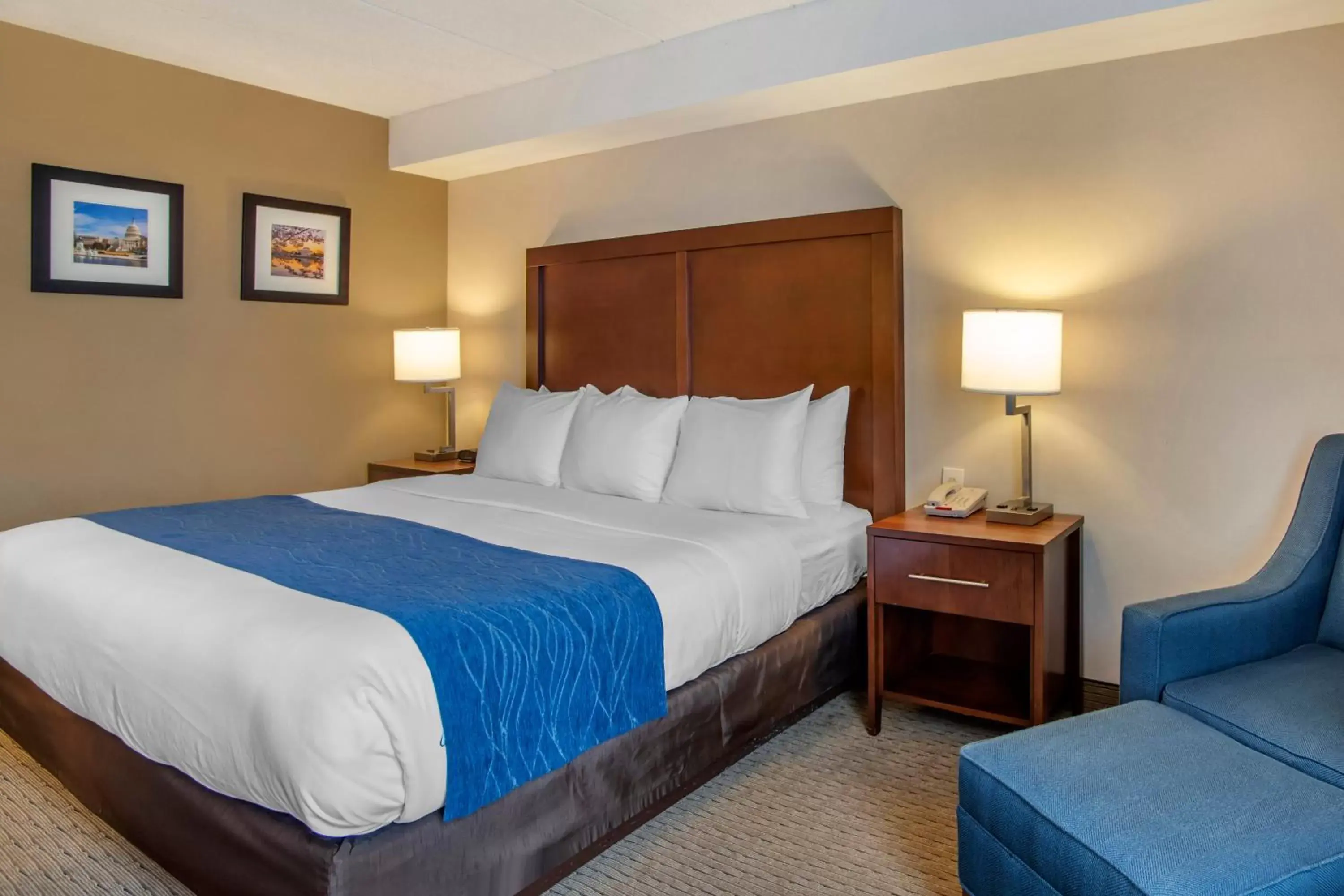 Bedroom, Bed in Comfort Inn Shady Grove - Gaithersburg - Rockville