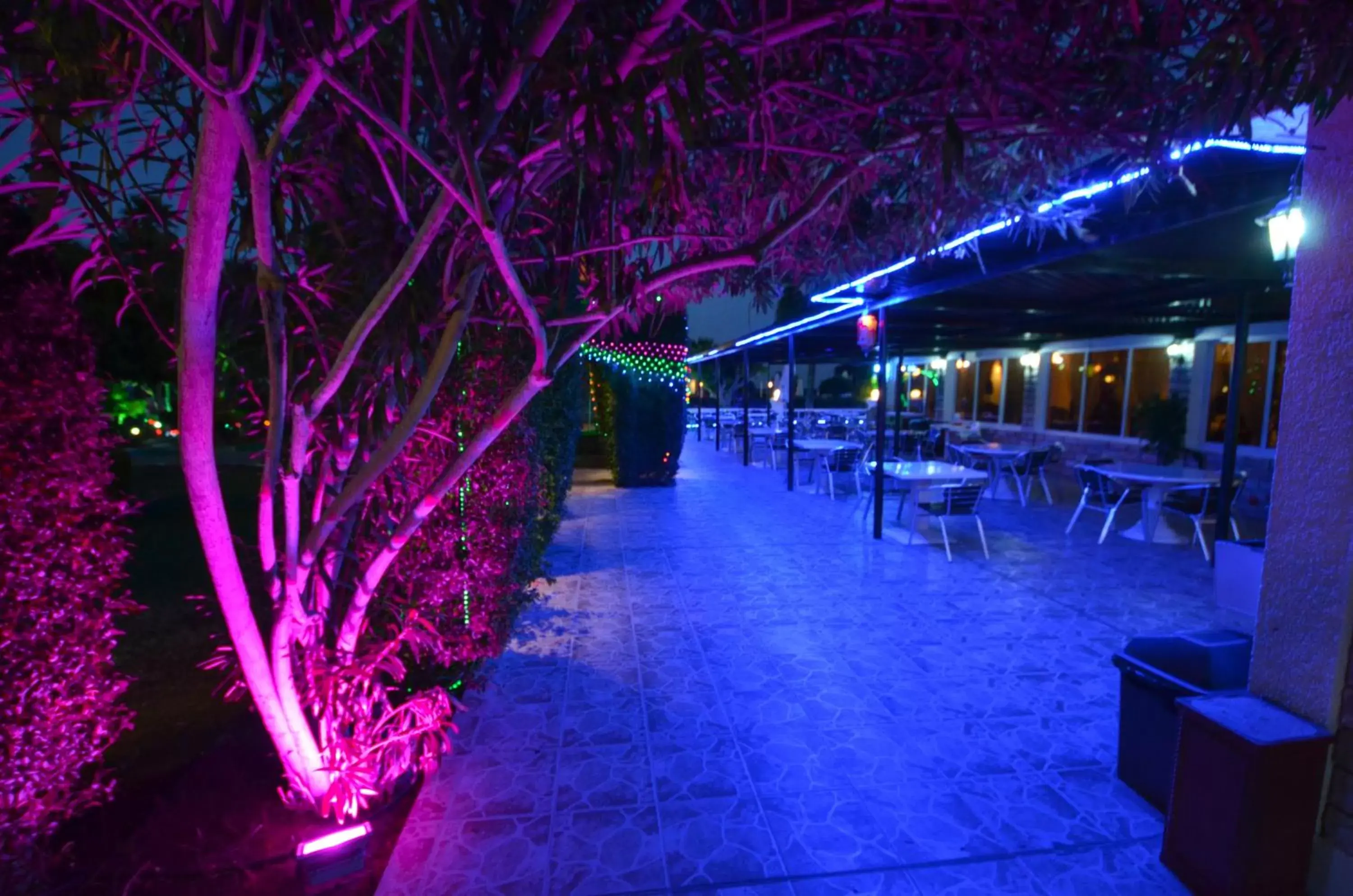 Restaurant/places to eat in Sandy Beach Hotel & Resort Restaurant/places to eat in Sandy Beach Hotel & Resort