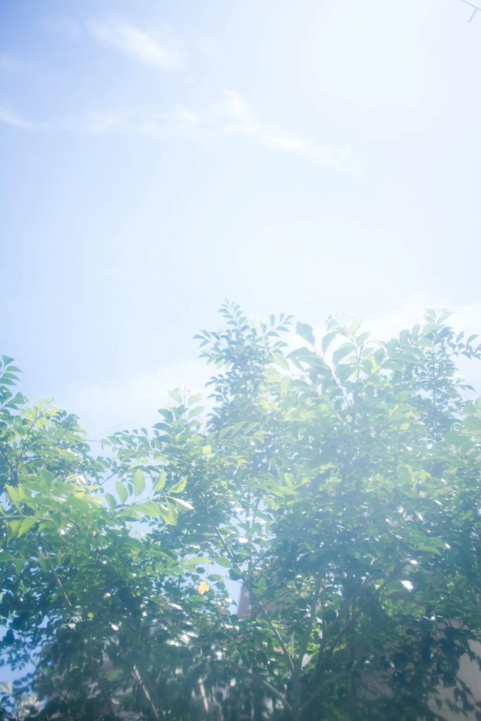 Hostel Nakamura Kobe