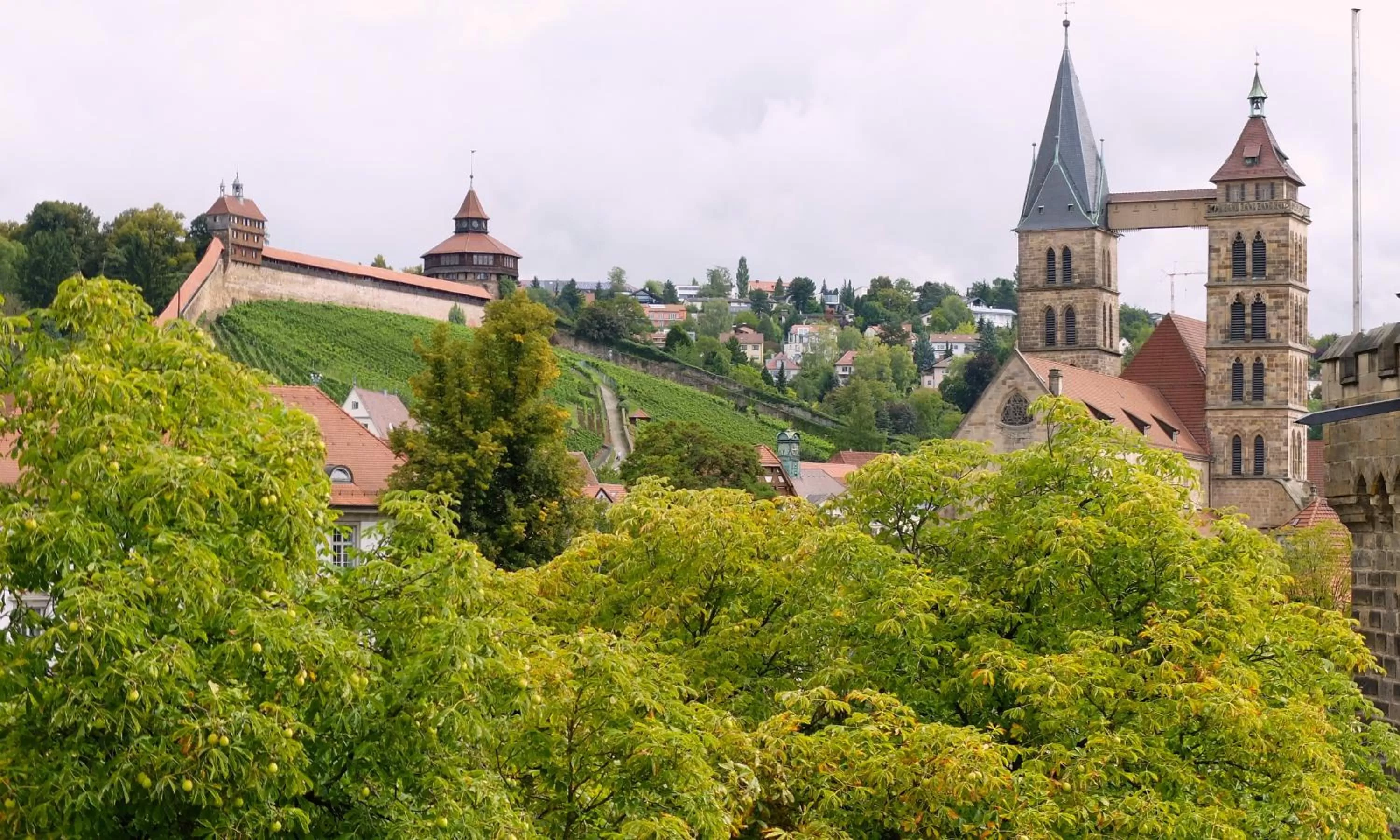 View (from property/room) in Hotel am Schelztor