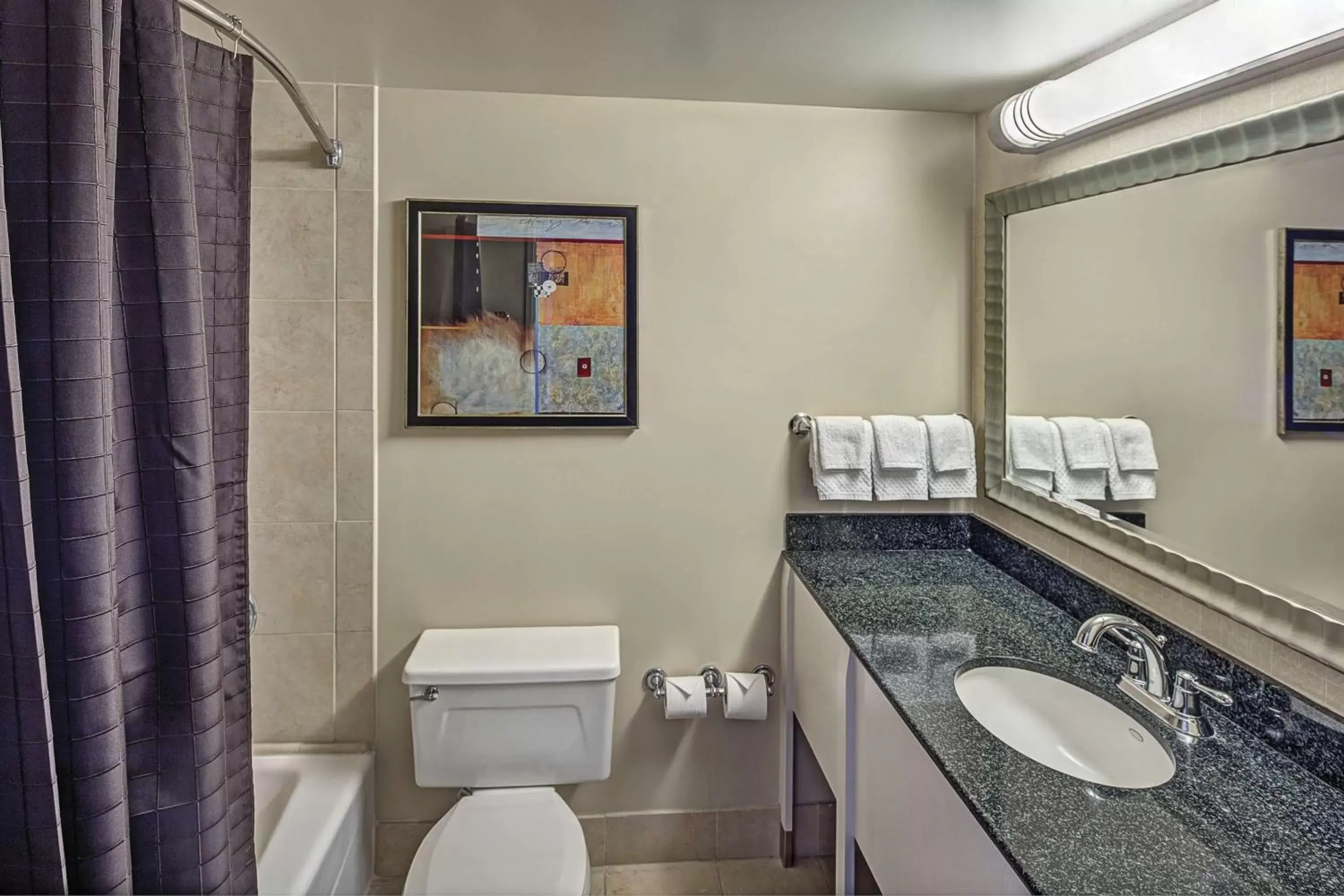 Bathroom in Hilton Sacramento Arden West