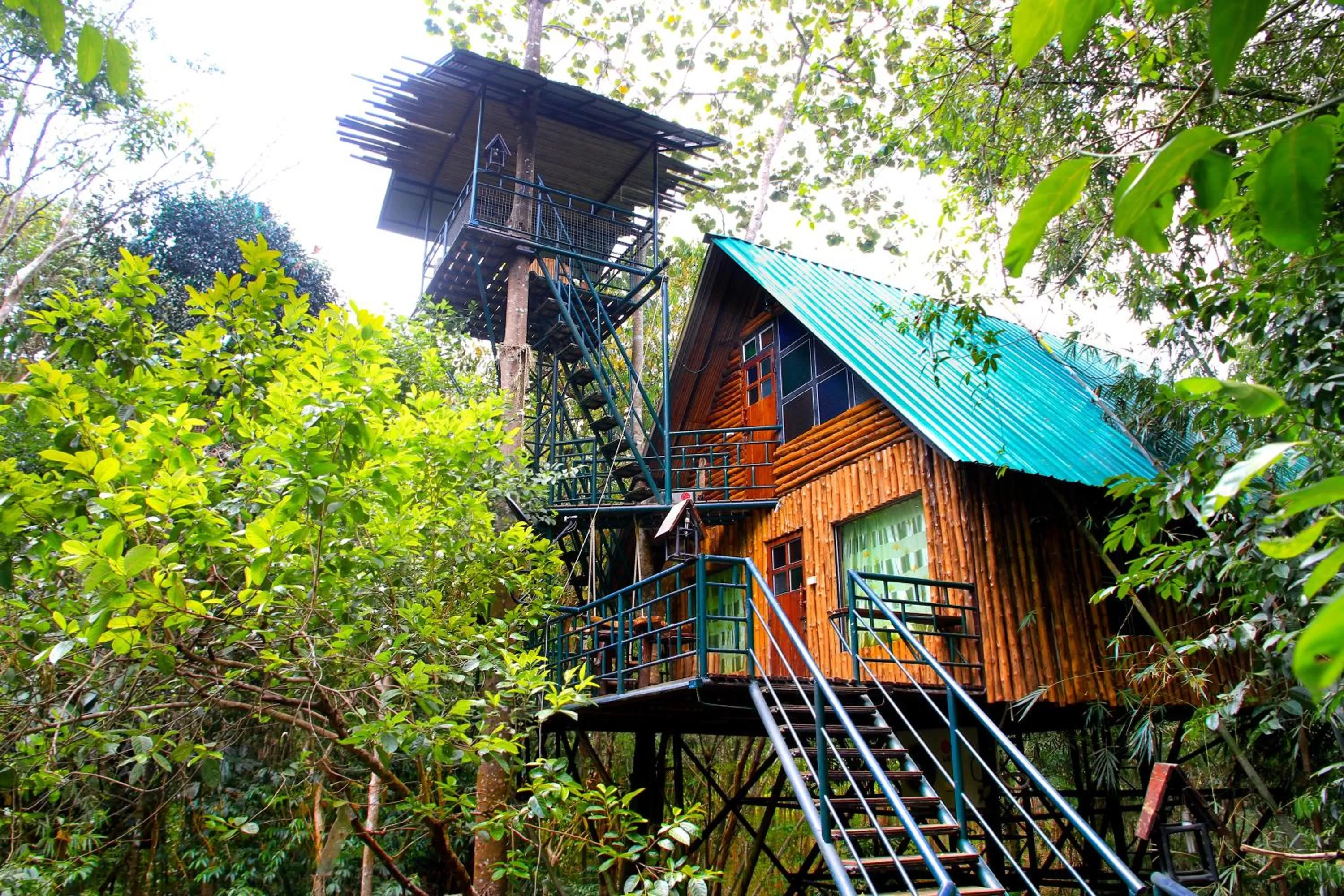 Property building in Khao Sok Tree House Resort