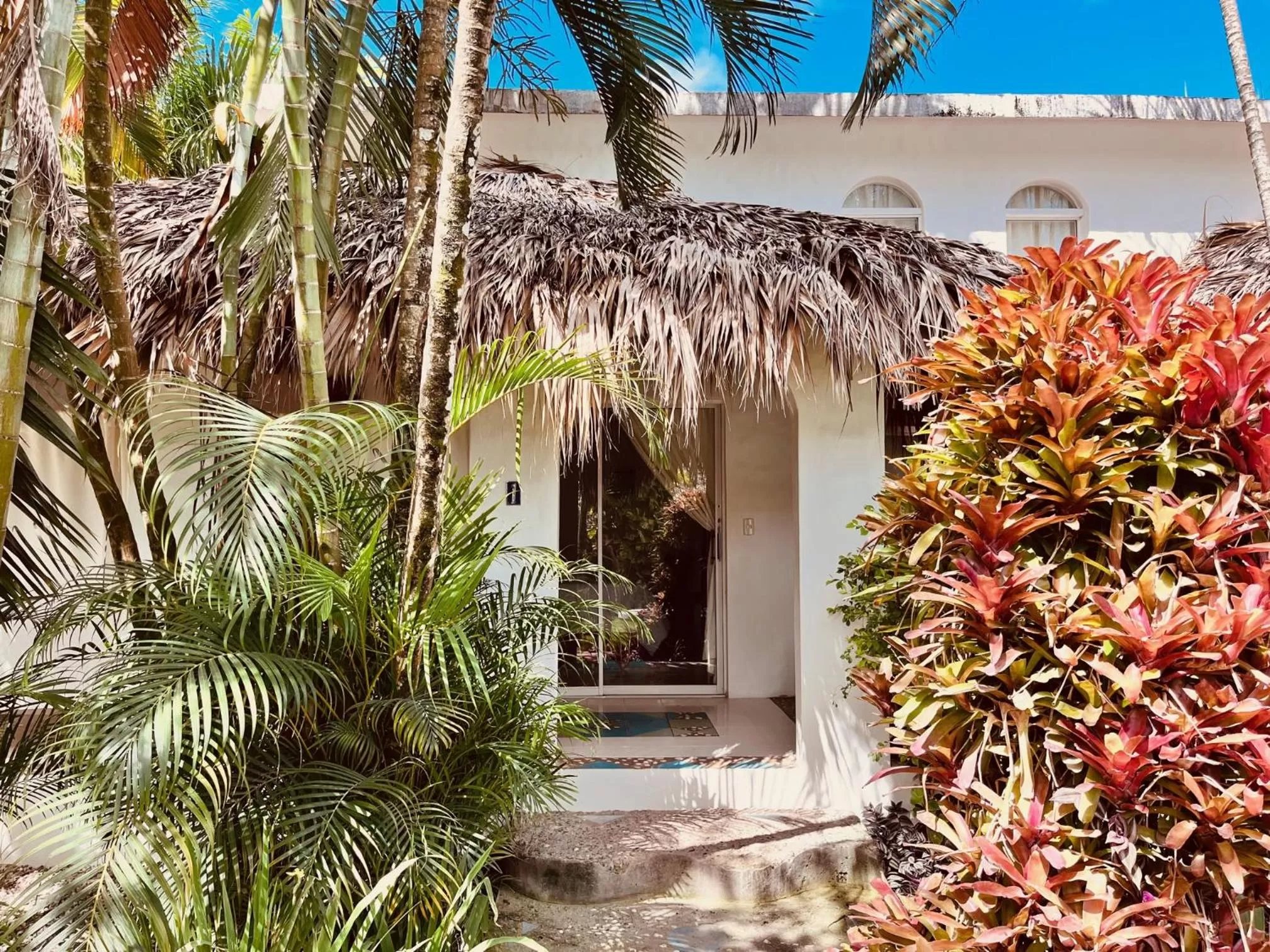 View (from property/room) in Hotel La Tortuga