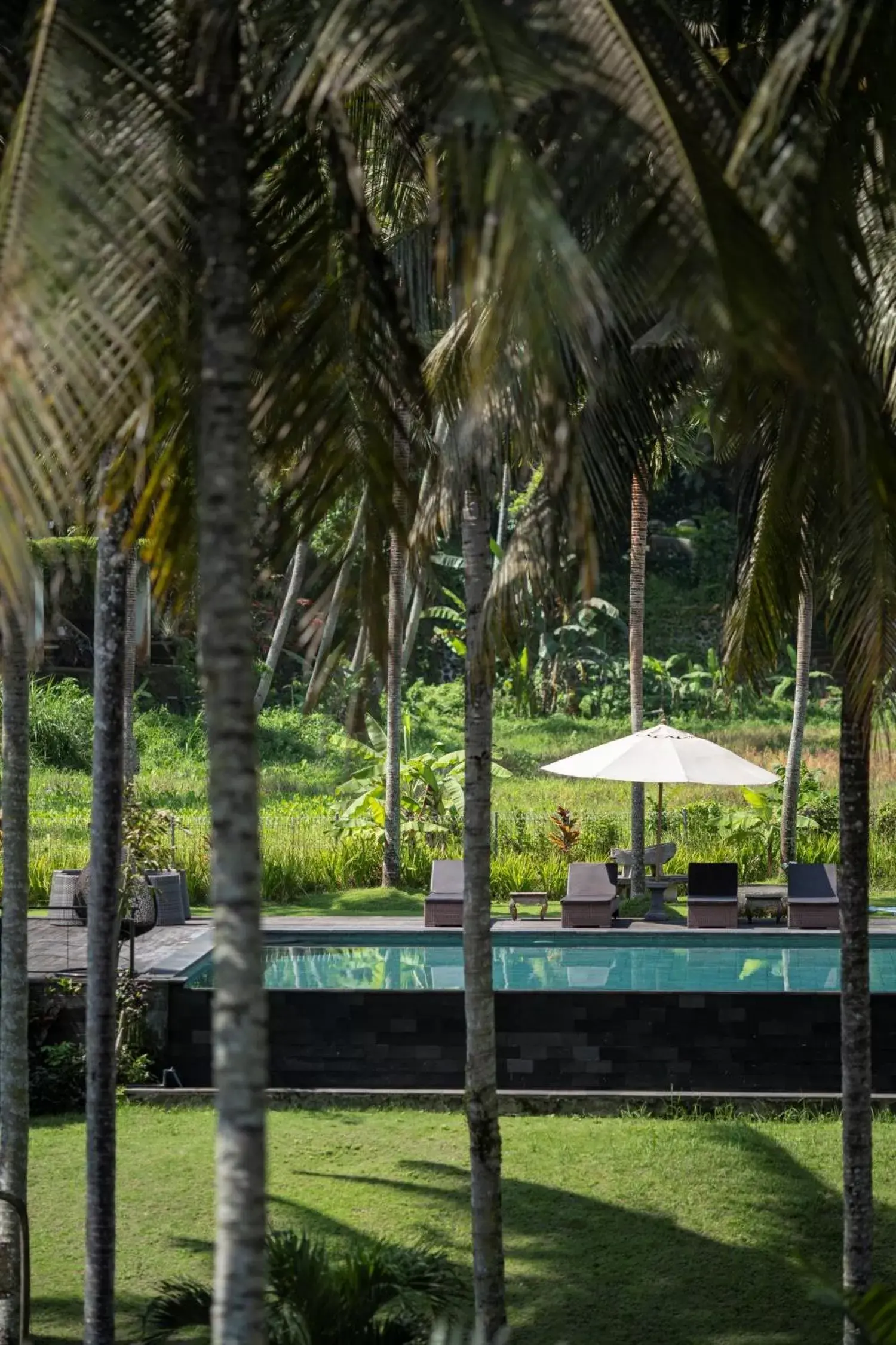 View (from property/room) in The Artini Dijiwa Ubud