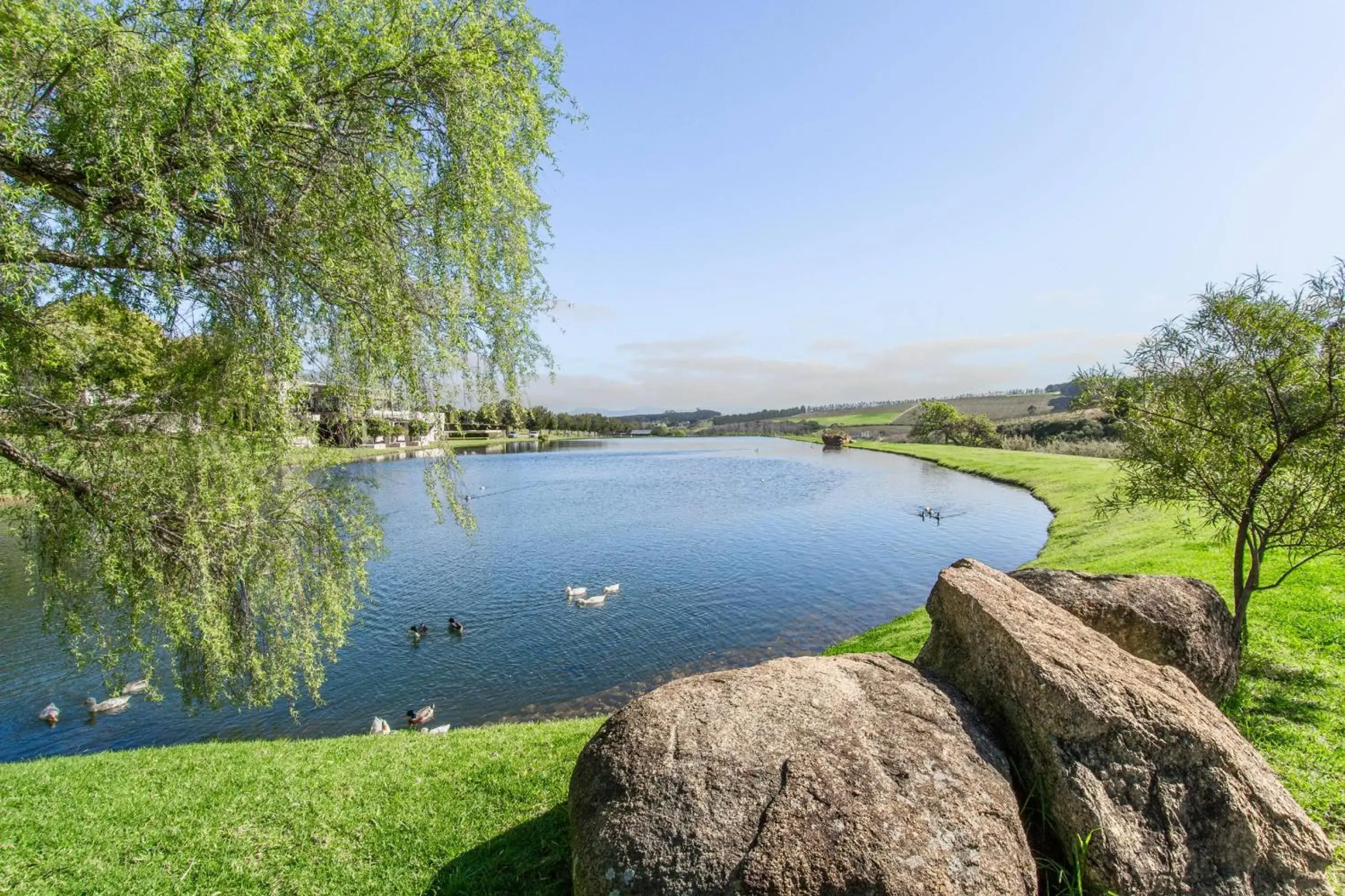 Lake view, Natural Landscape in Webersburg