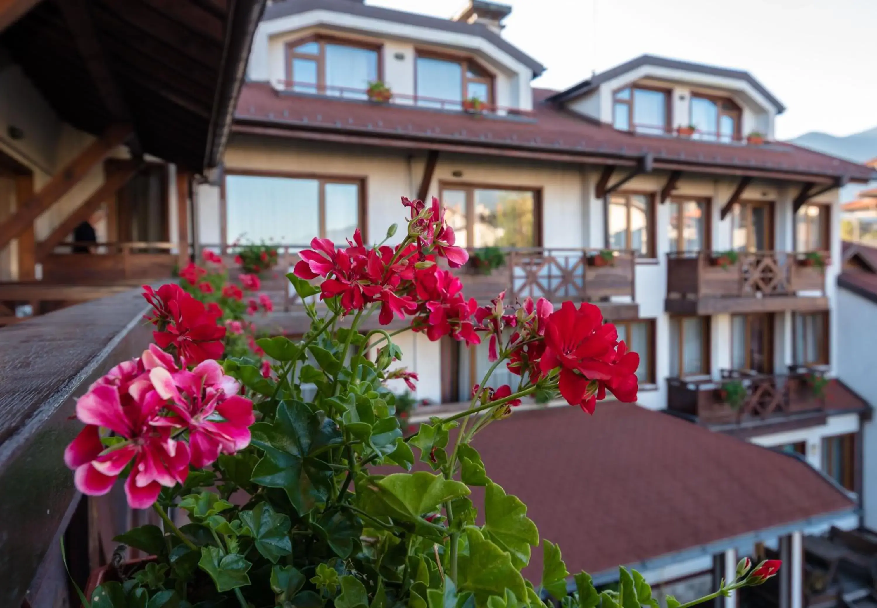 Balcony/Terrace, Property Building in Evelina Palace Hotel