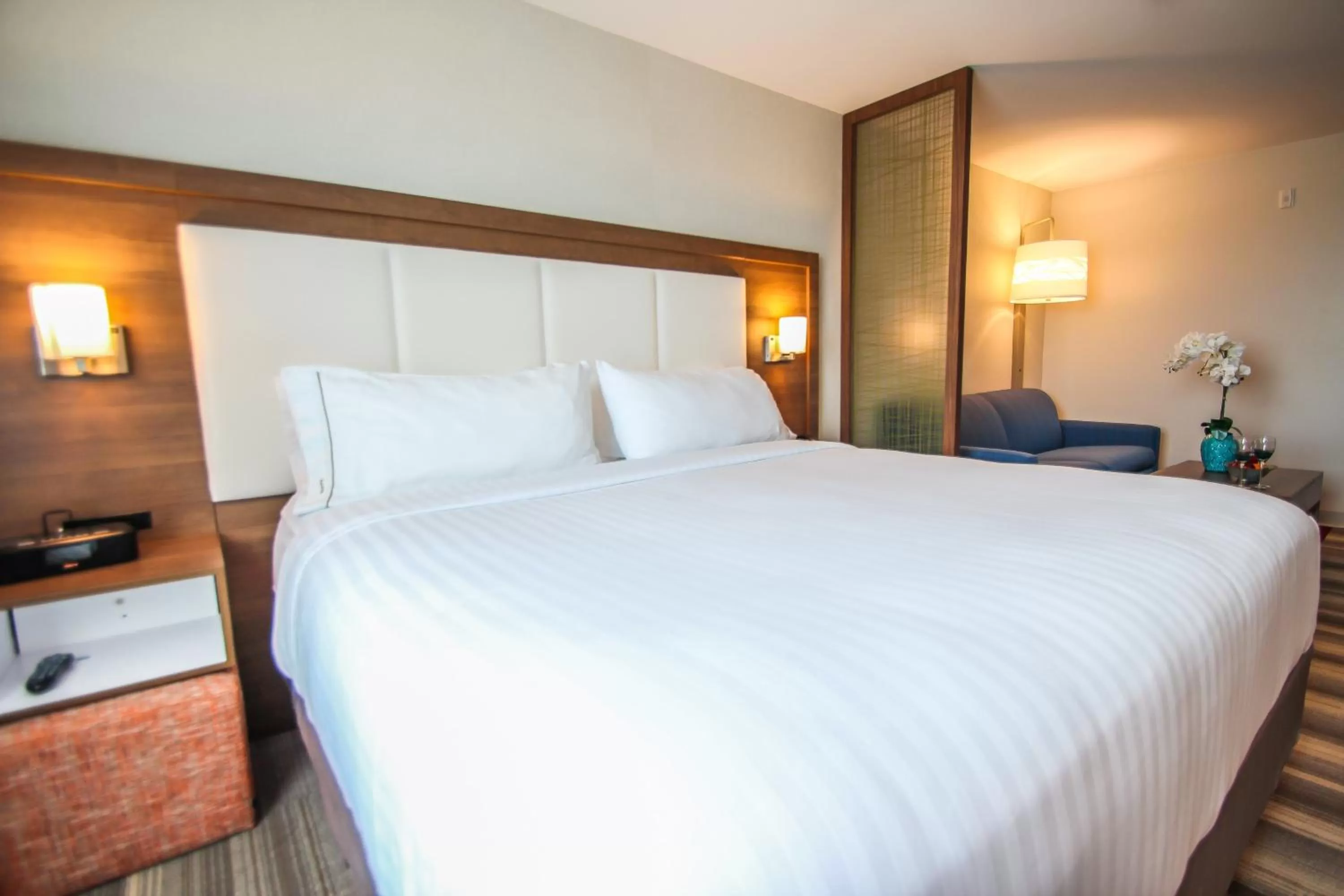 Photo of the whole room, Bed in Holiday Inn Express & Suites Miami Airport East by IHG