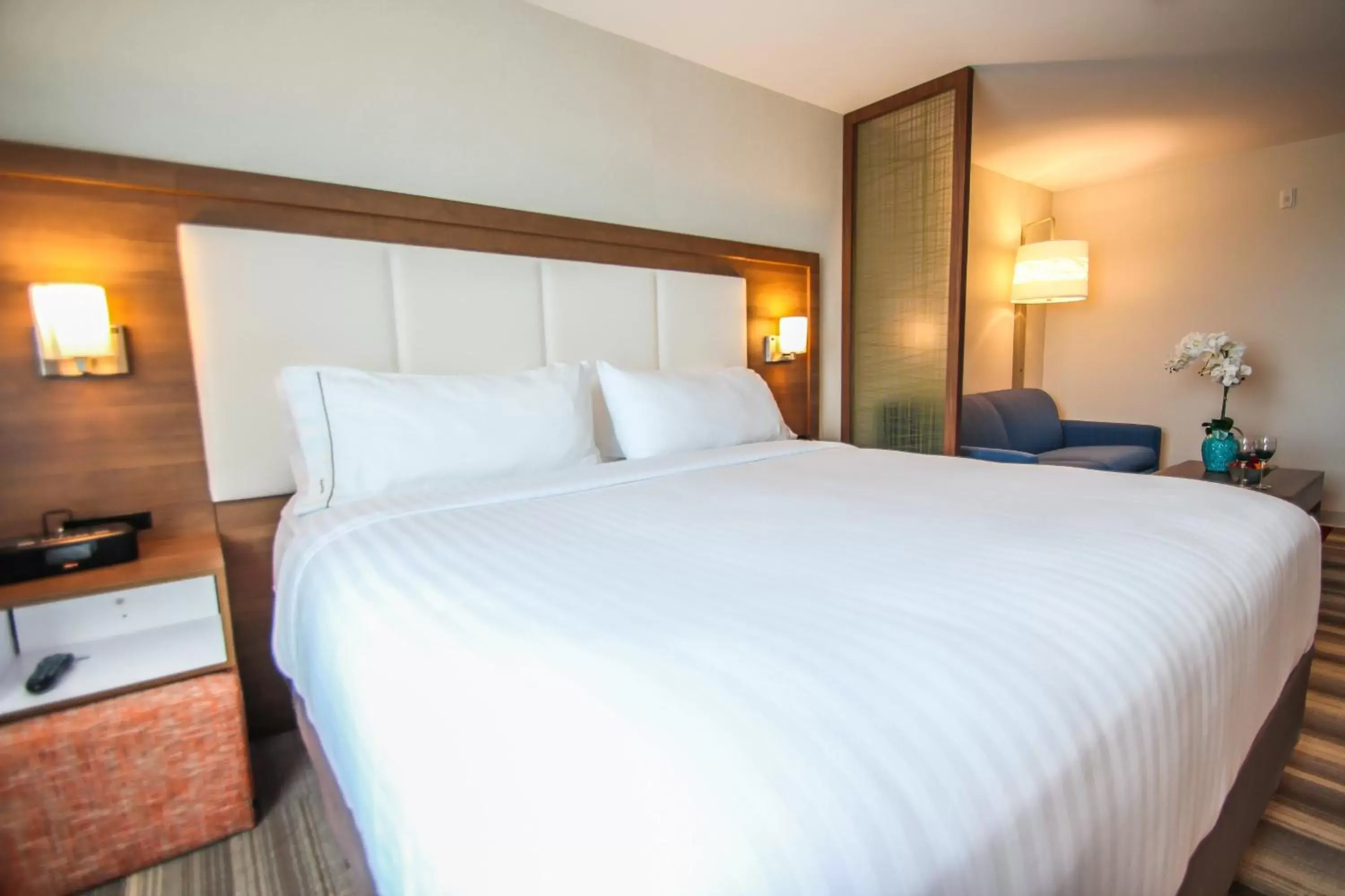 Photo of the whole room, Bed in Holiday Inn Express & Suites Miami Airport East, an IHG Hotel