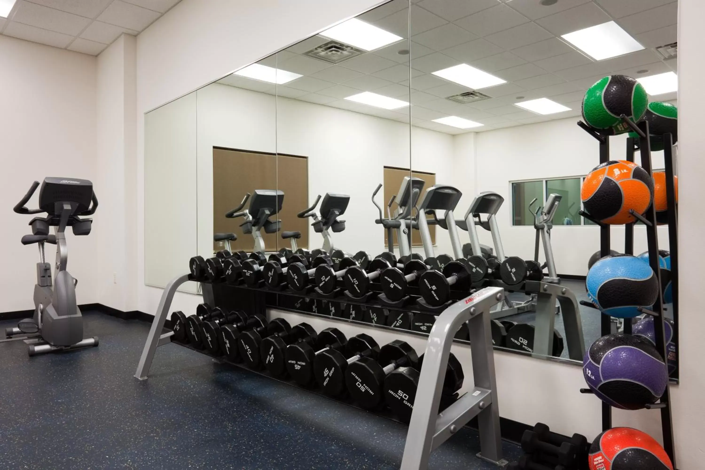 Fitness centre/facilities, Fitness Center/Facilities in Holiday Inn Madison at The American Center, an IHG Hotel