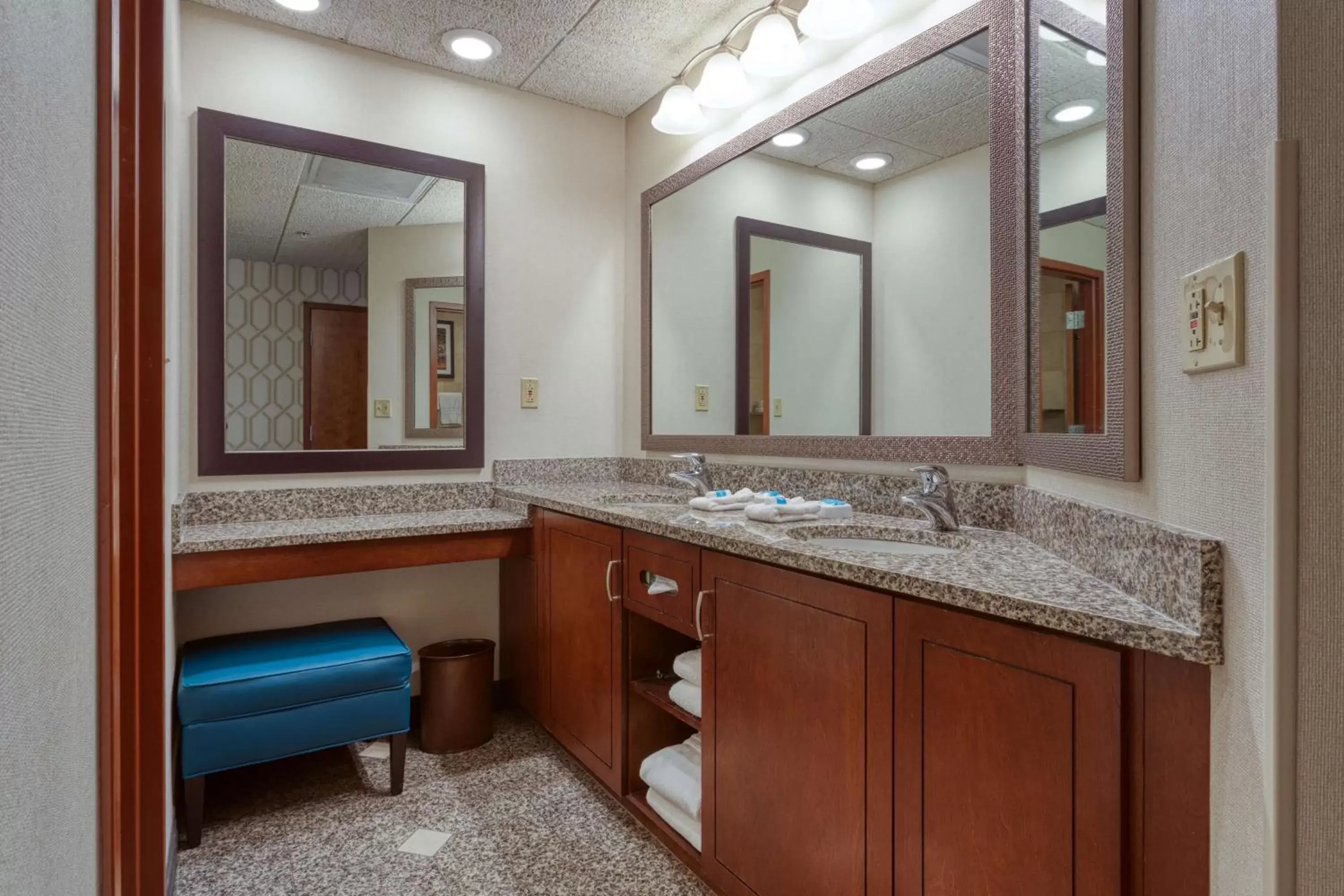 Bathroom in Drury Plaza Hotel St. Louis Chesterfield