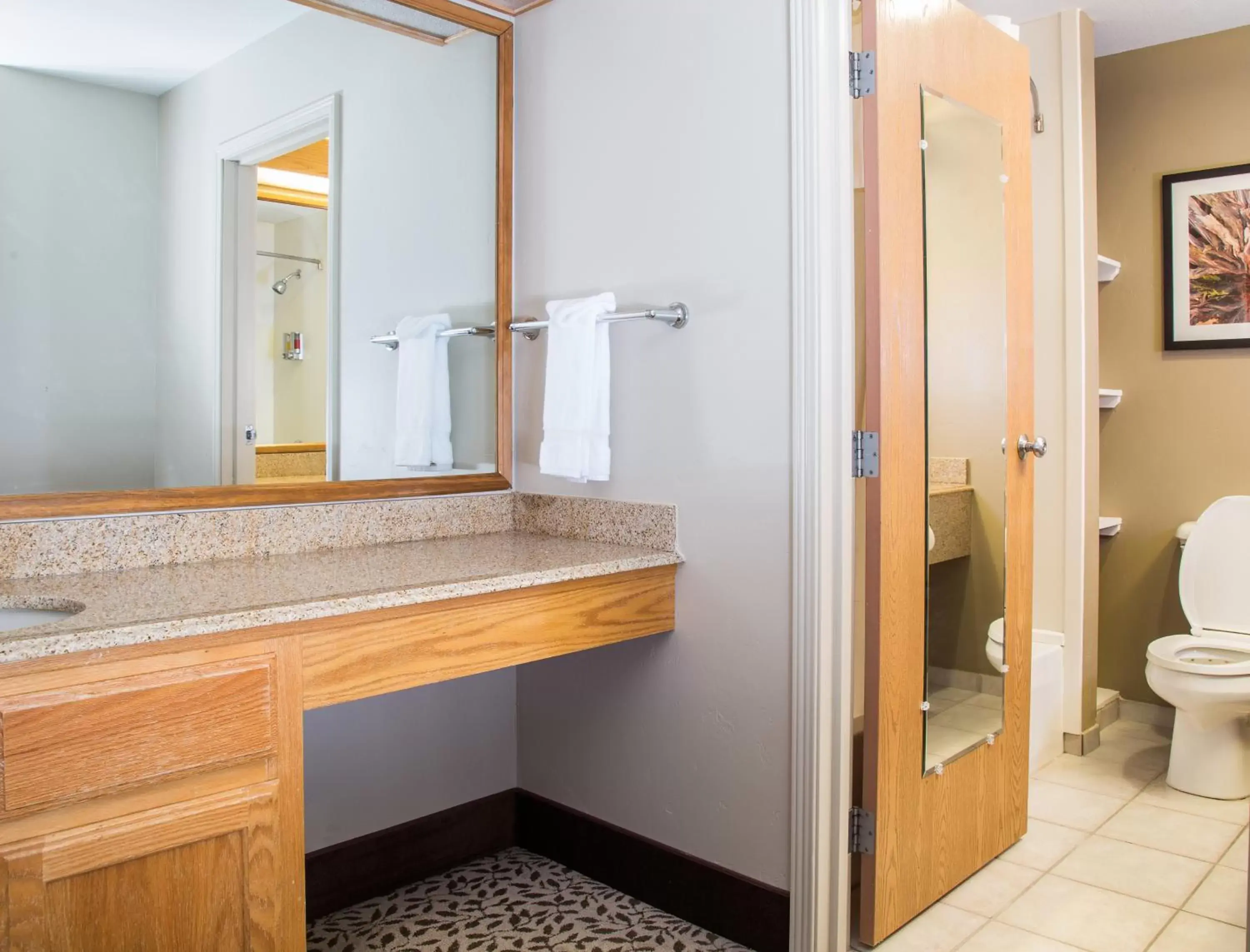 Bathroom in Gray Wolf Inn & Suites