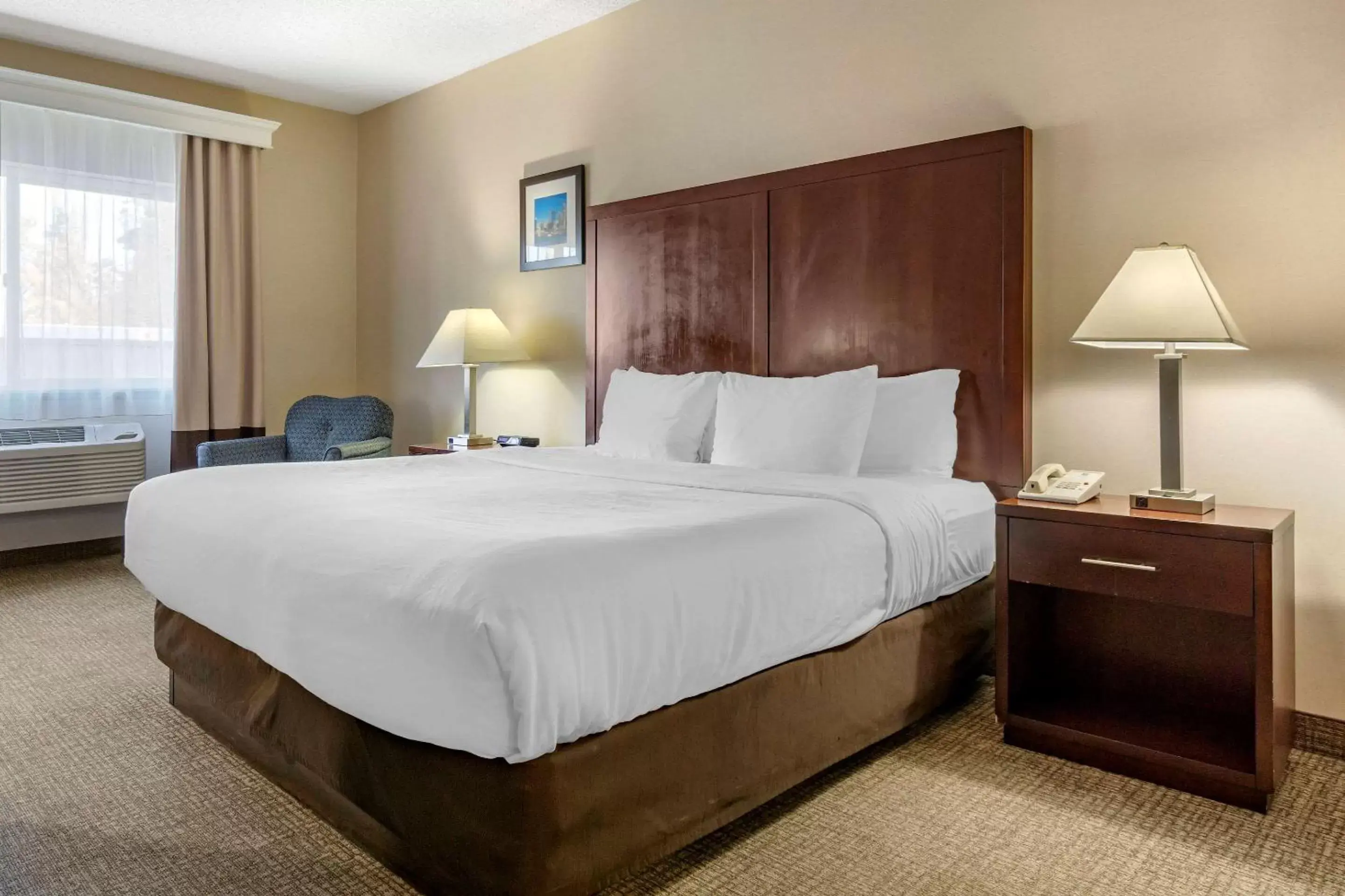 Photo of the whole room, Bed in Comfort Inn & Suites Seattle North