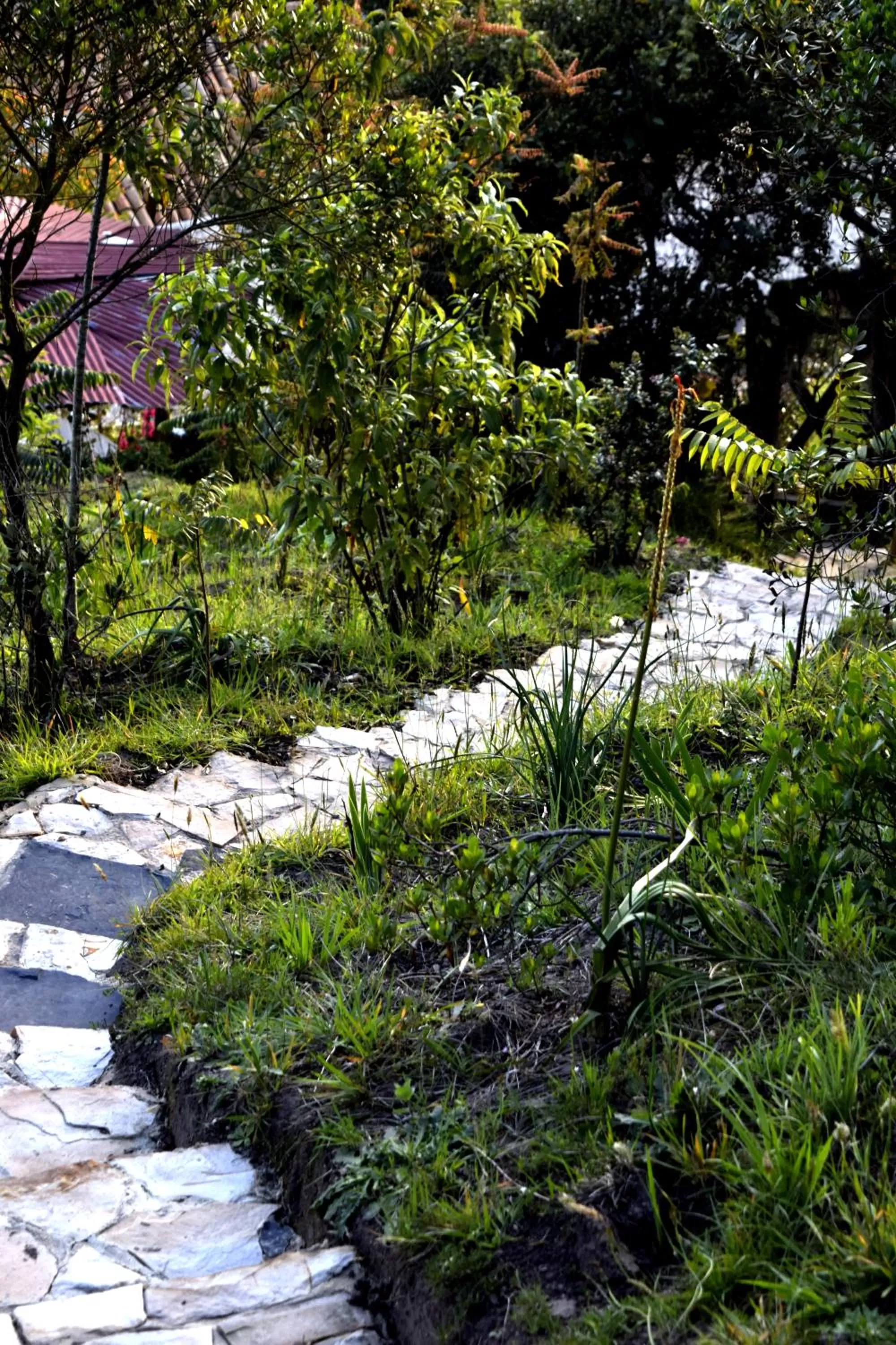 Garden in El Pedregal Sopó