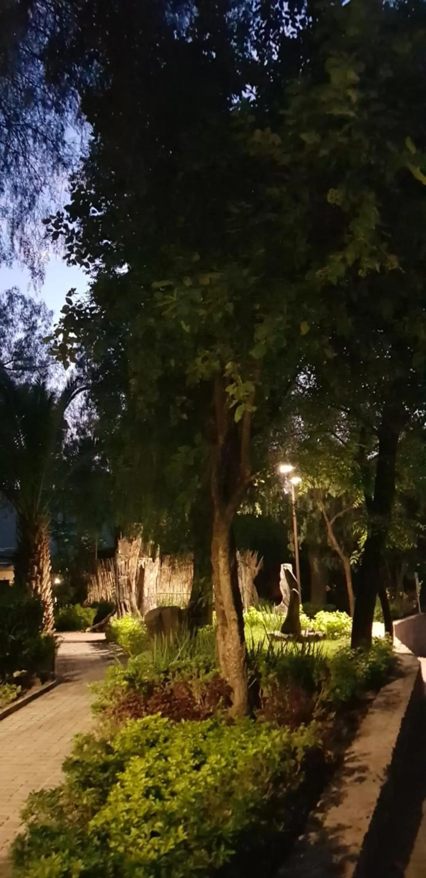 Night, Garden in Tres Fuentes Hotel Boutique