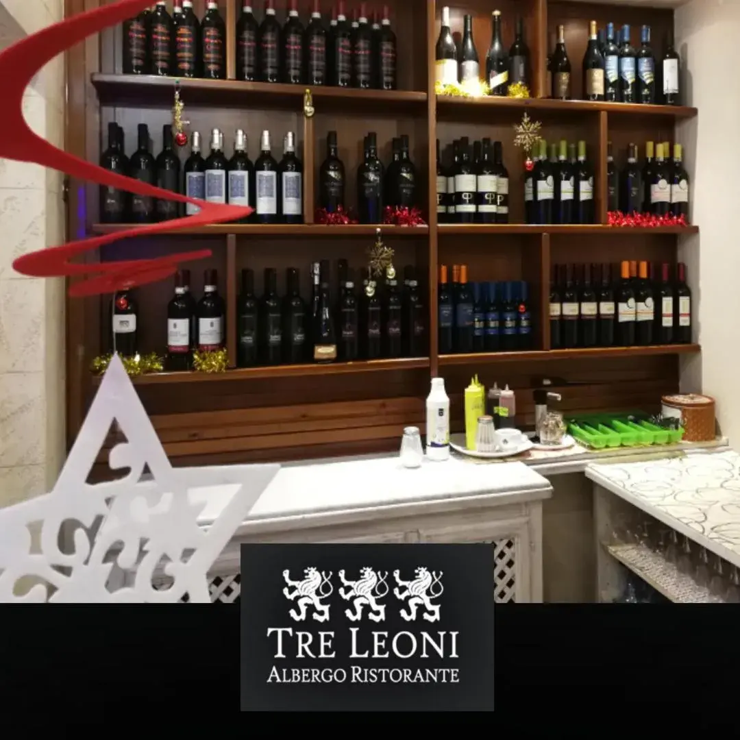 Hotel Ristorante Tre Leoni