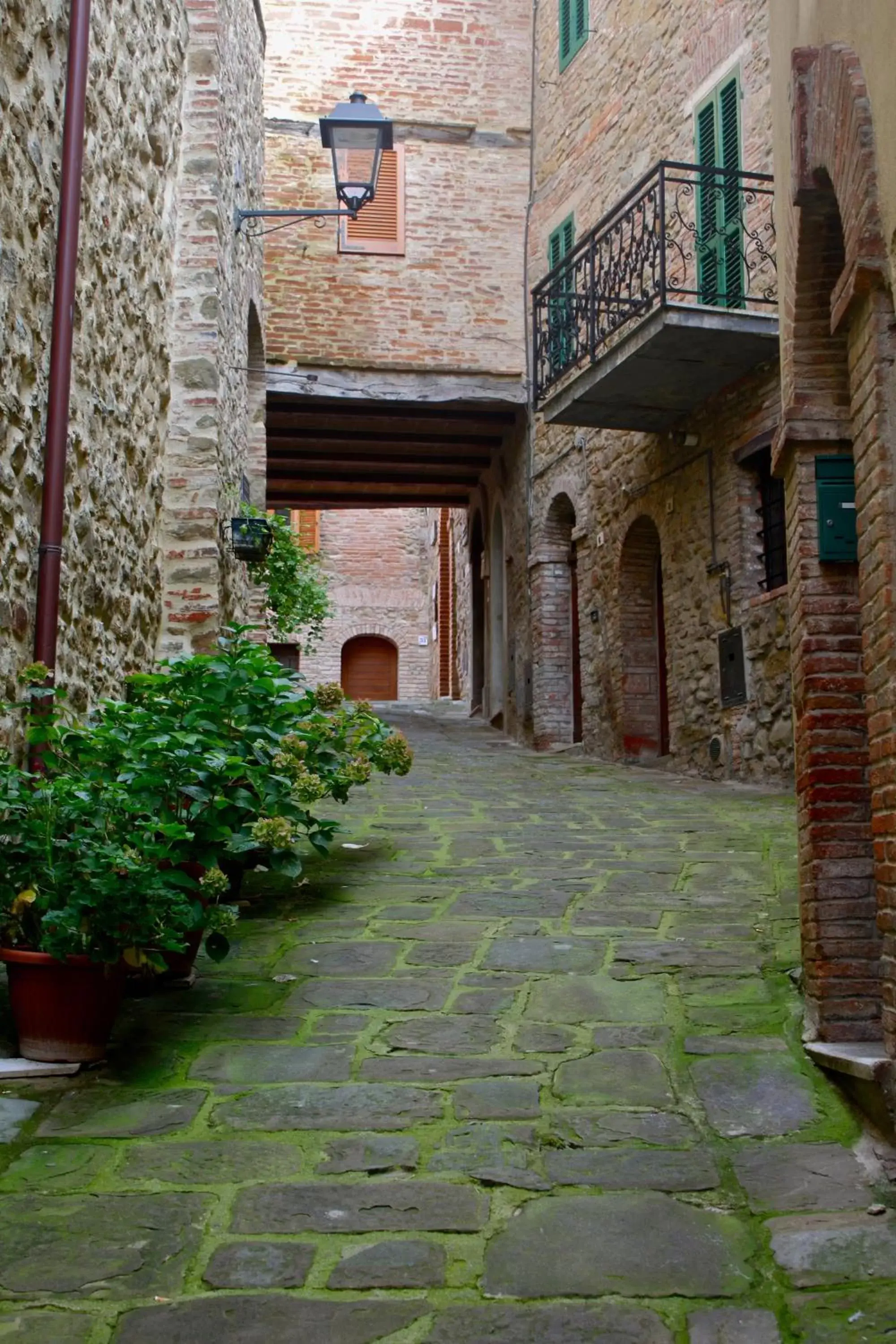 City view, Facade/Entrance in Relais Mastro Cinghiale