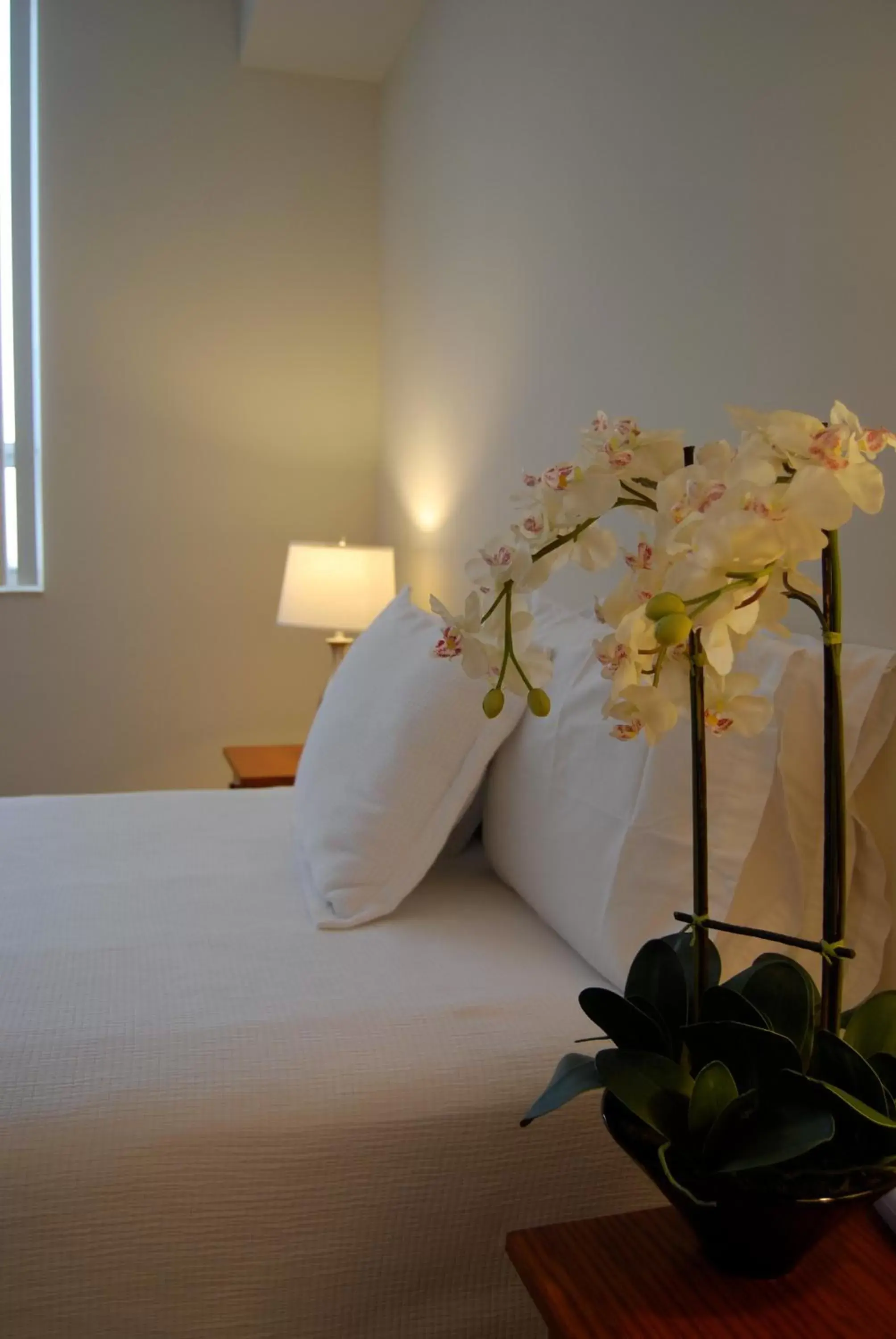 Two-Bedroom Suite in Dadeland Towers by Miami Vacations Two-Bedroom Suite in Dadeland Towers by Miami Vacations