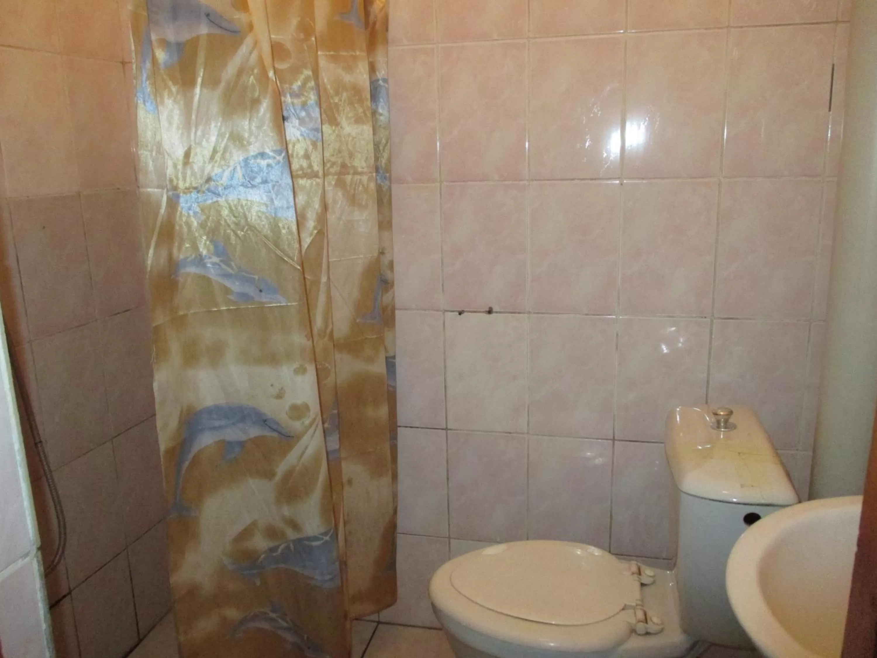 Decorative detail in Otel Issyk-Kul Karakol