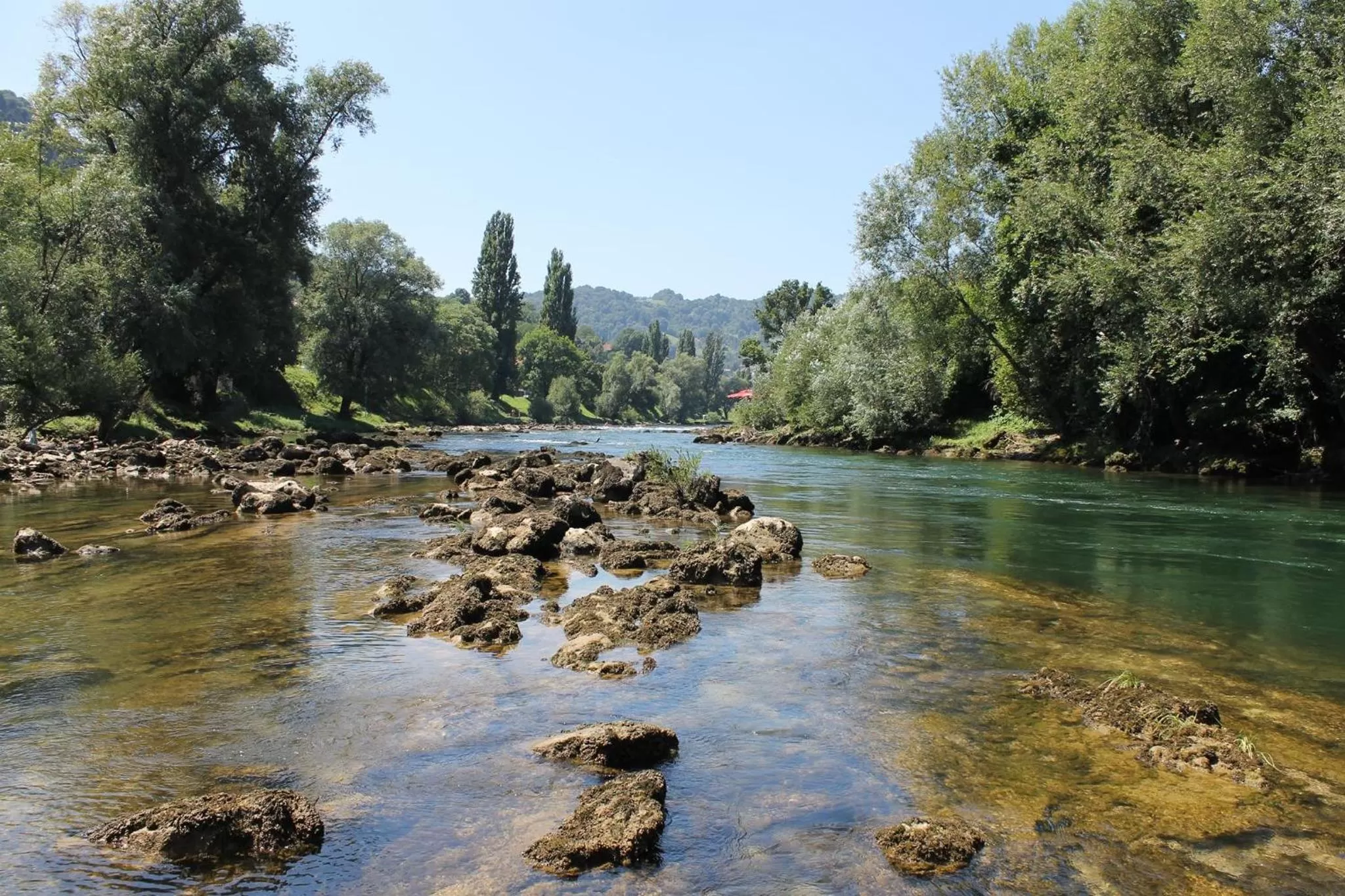 Garden in Motel Alibi