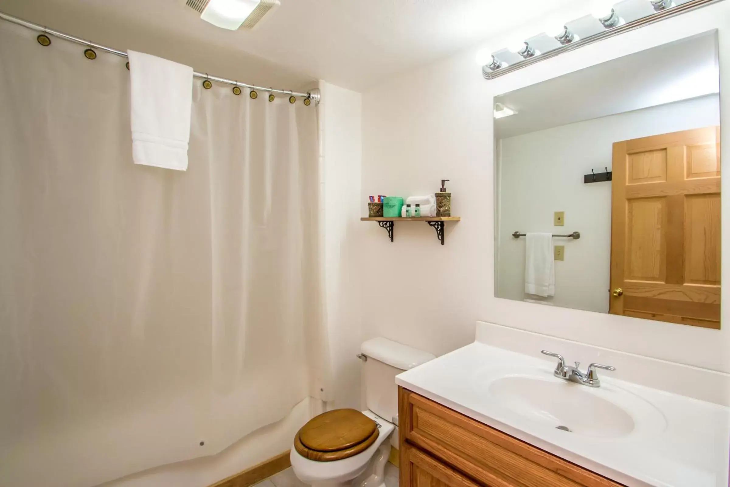 Bathroom in Presidential Mountain Resort