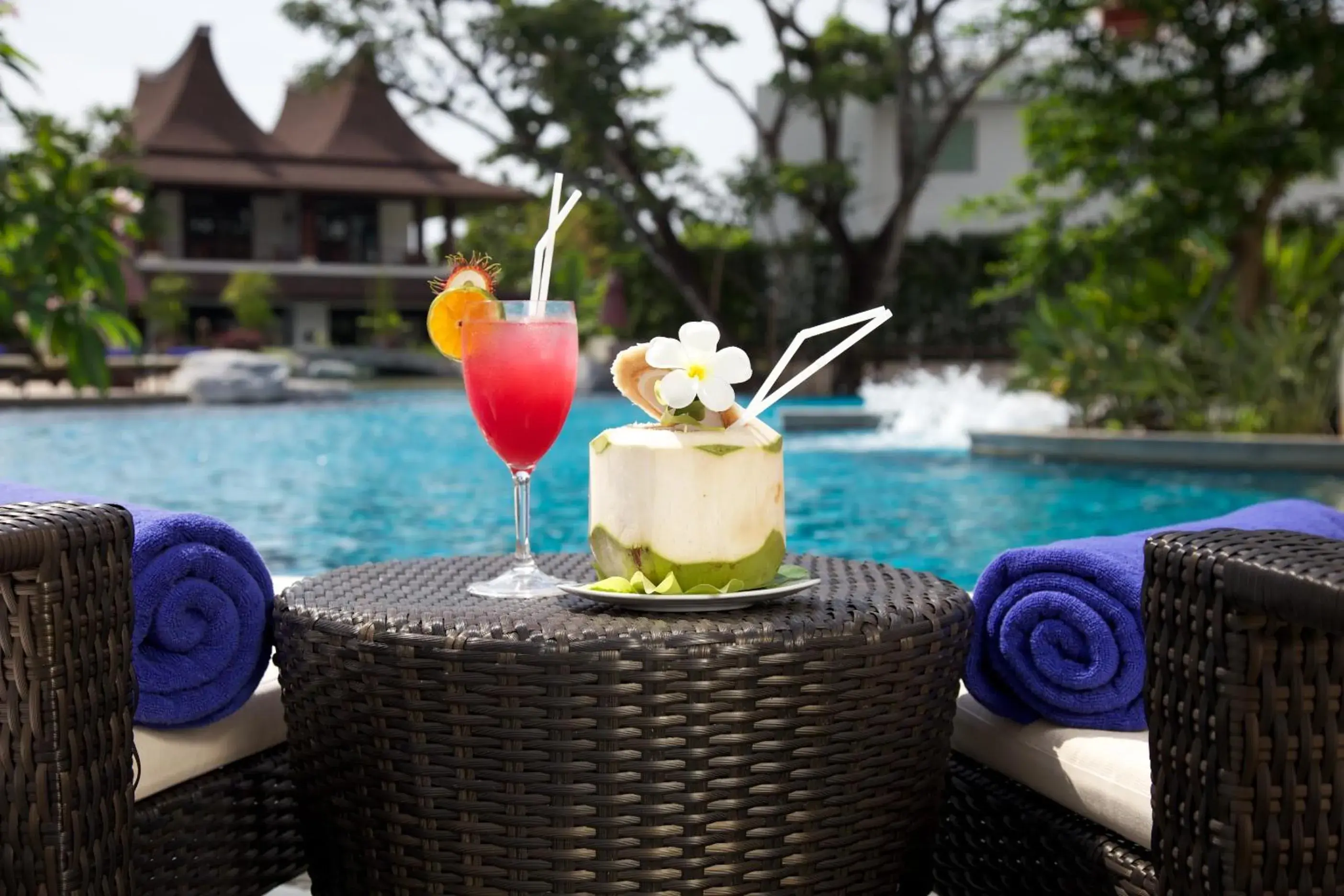 Swimming pool, Drinks in The Elements Krabi Resort - SHA Plus