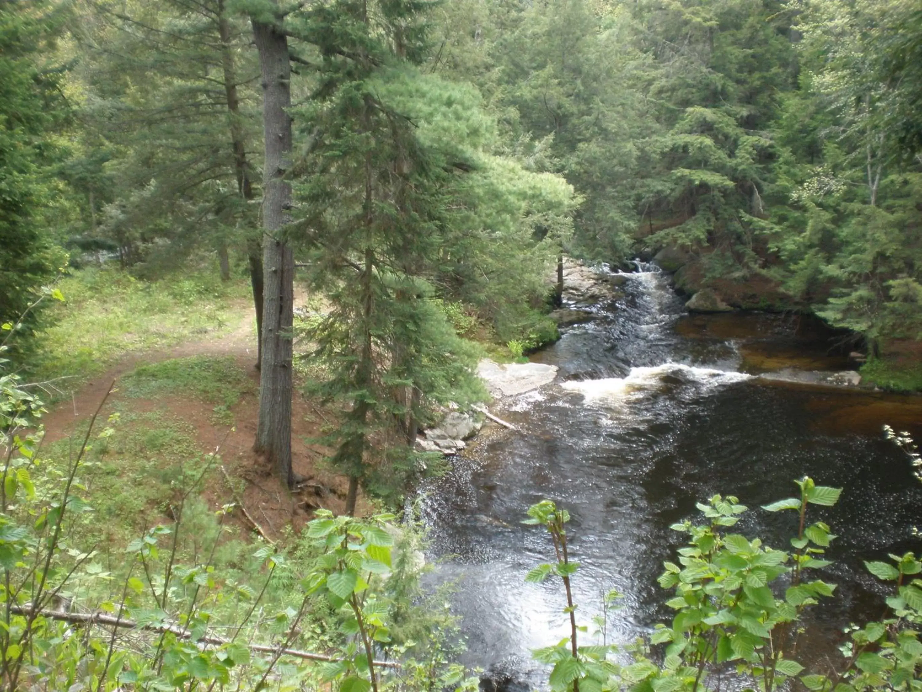 Area and facilities, Natural Landscape in Dwight Riverside Inn