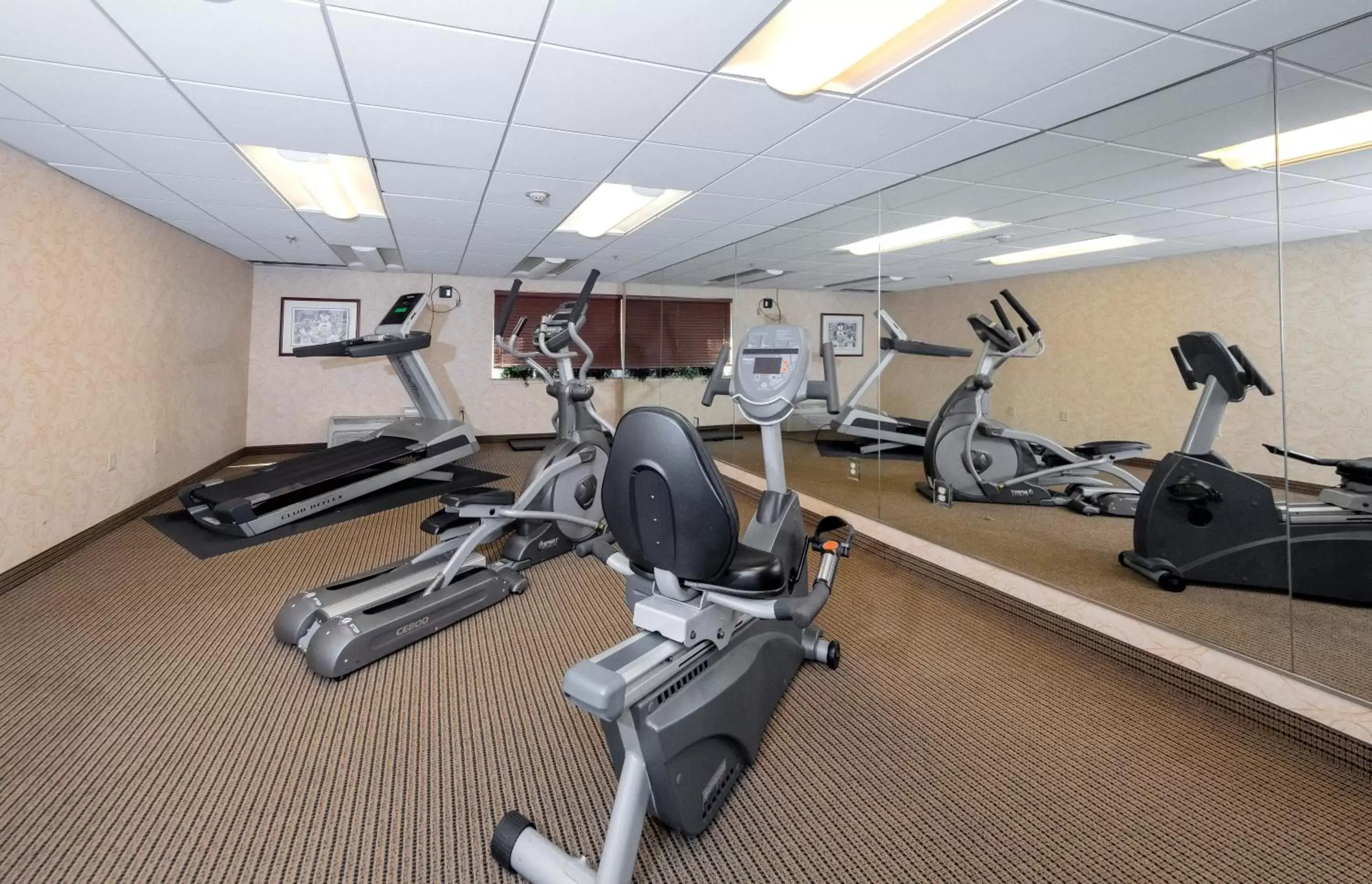 Fitness centre/facilities, Fitness Center/Facilities in Red Roof Inn & Suites Wilmington – New Castle