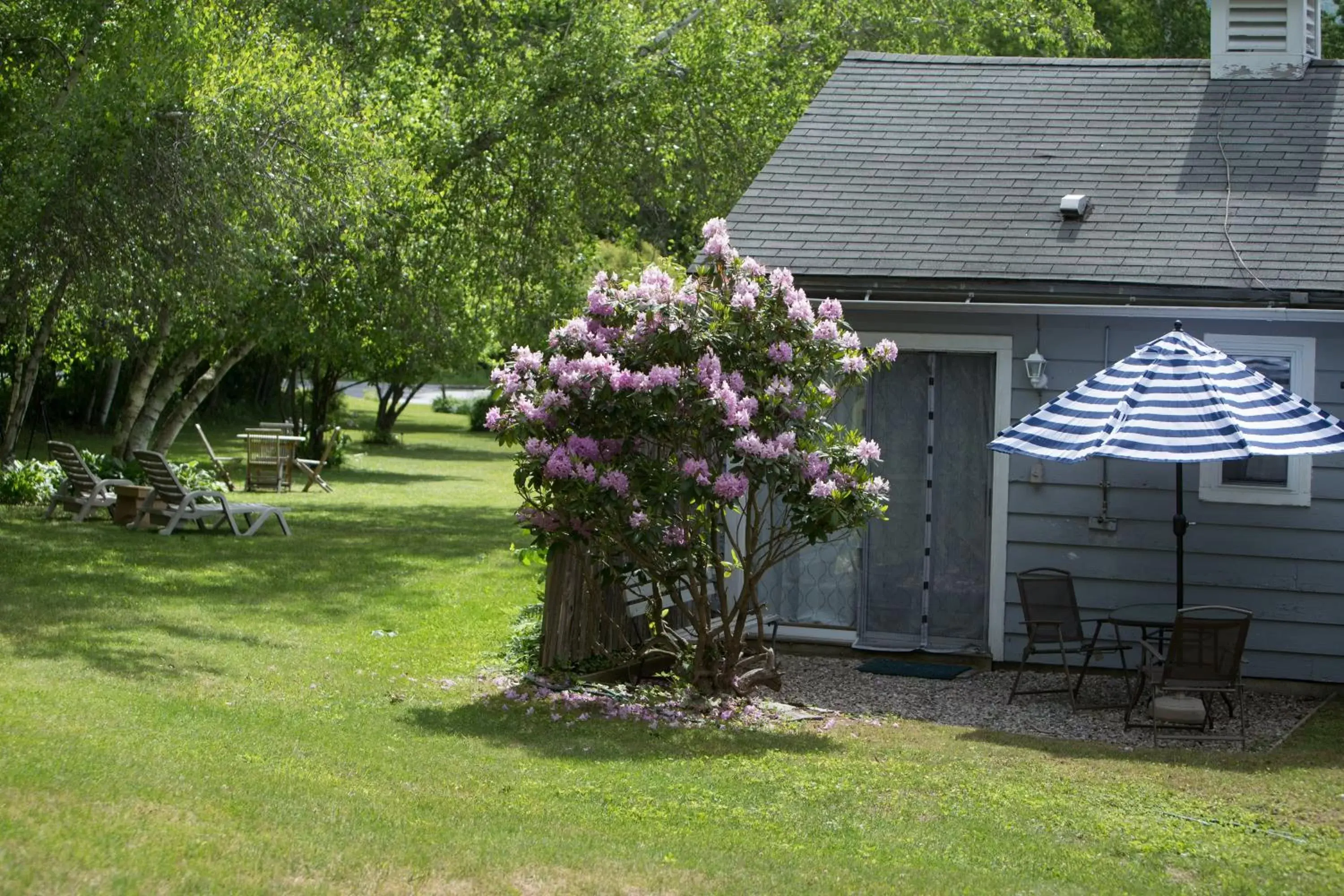 Garden view, Garden in Governor's Rock Motel