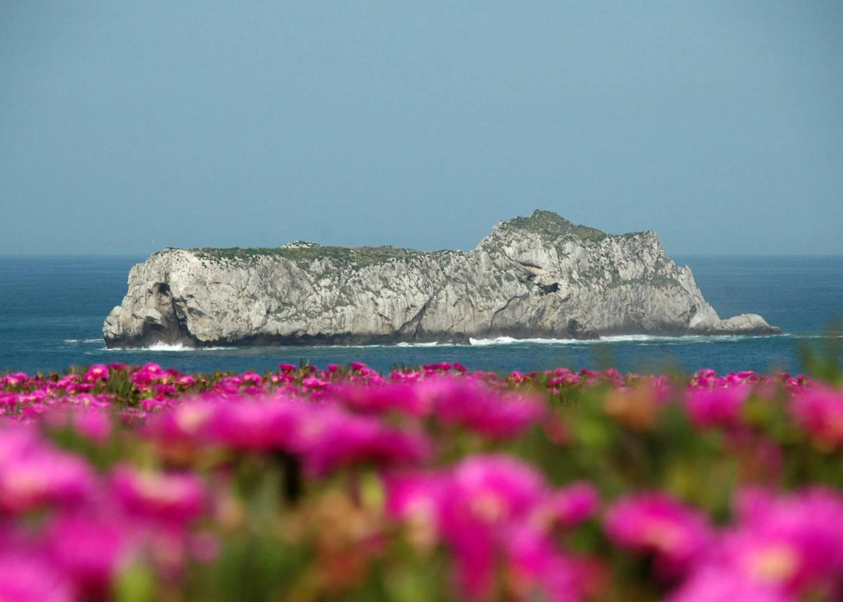 Day in Posada Santa Ana