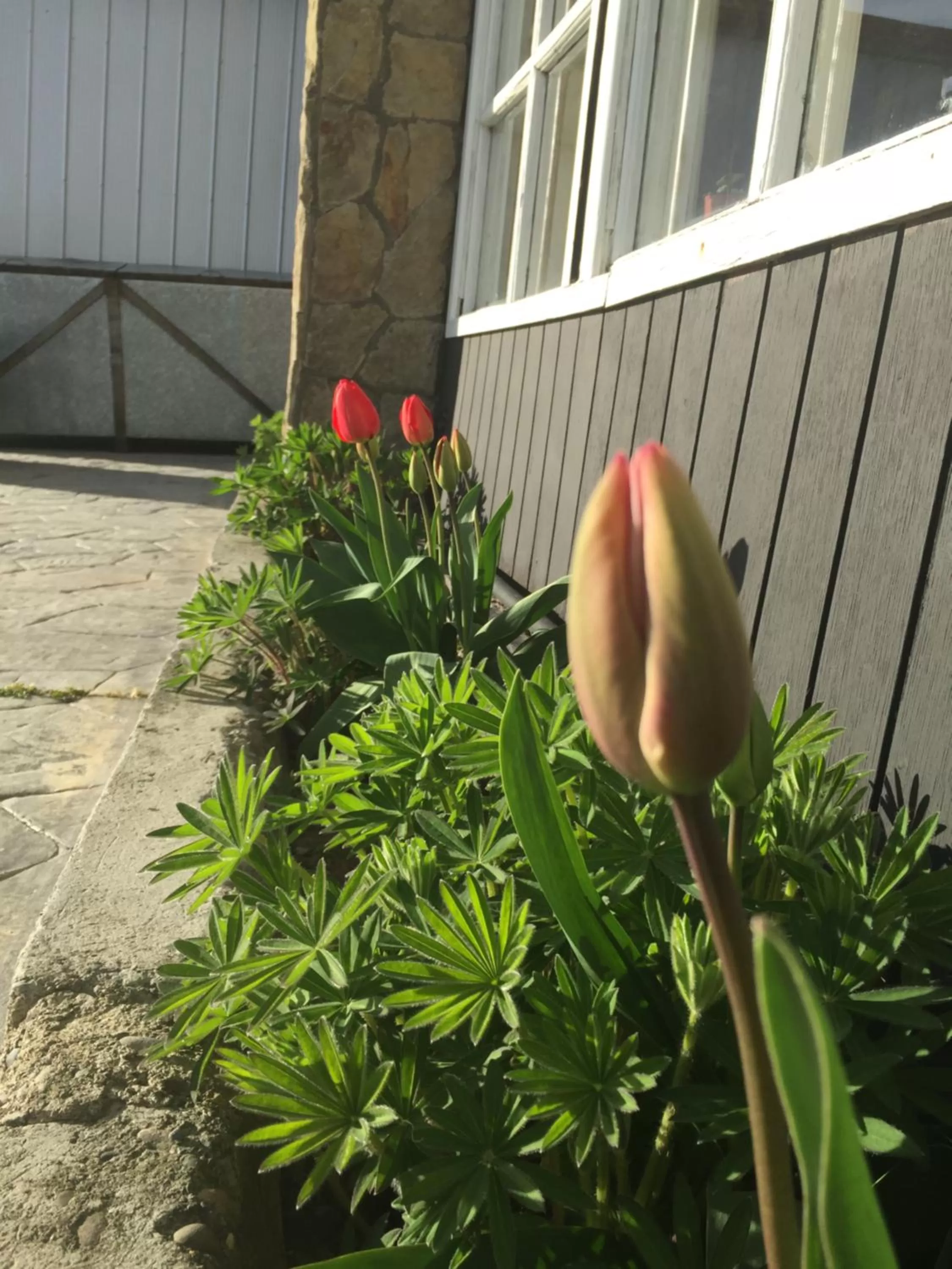 Facade/entrance in Big Bang Patagonia - Traveler Assistance