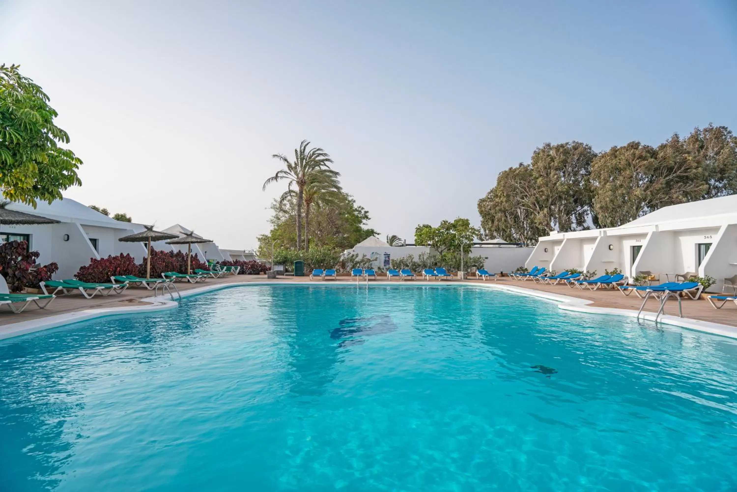 Swimming pool in Hotel THB Flora