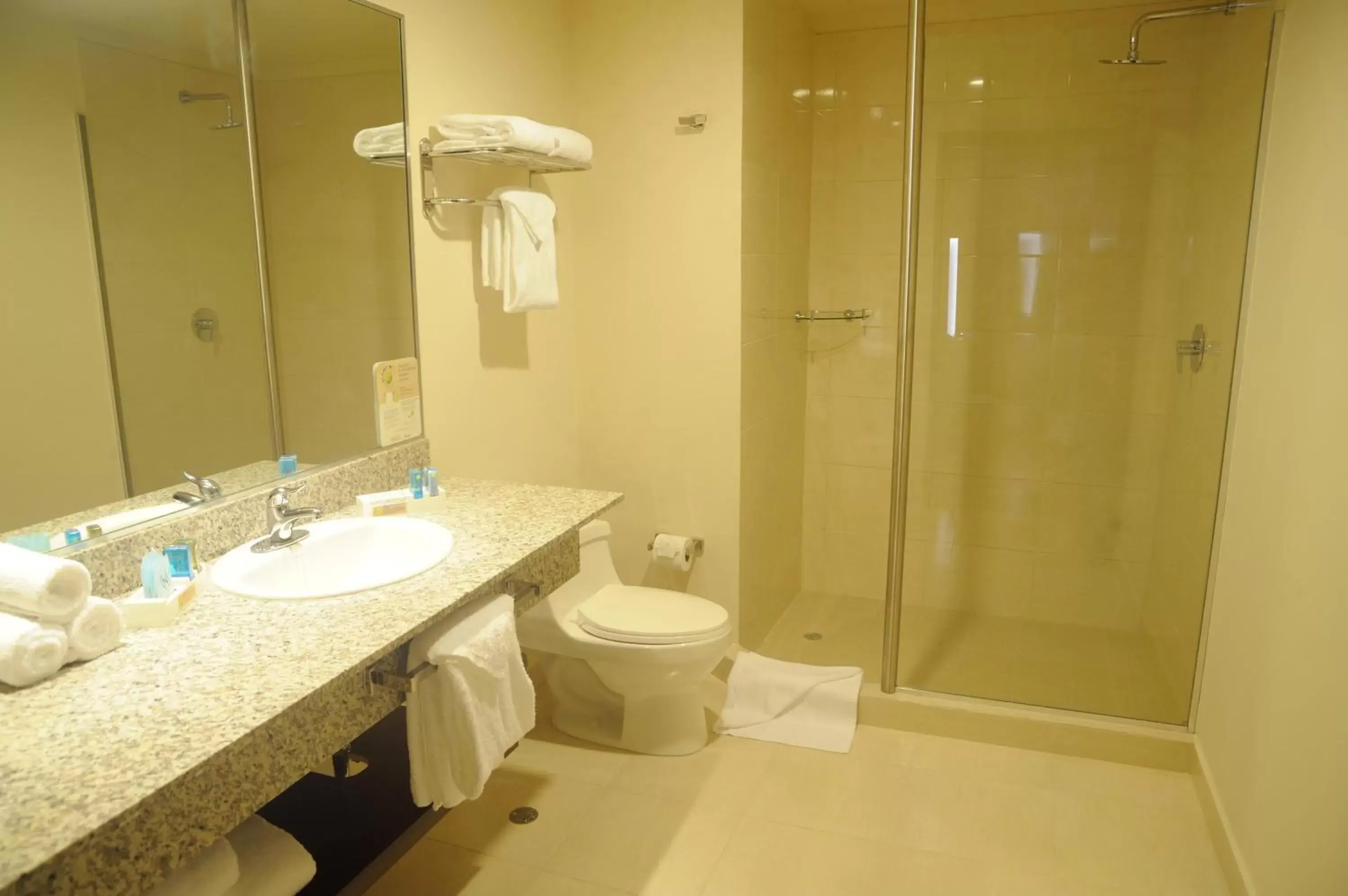 Bathroom in Novotel Panama City