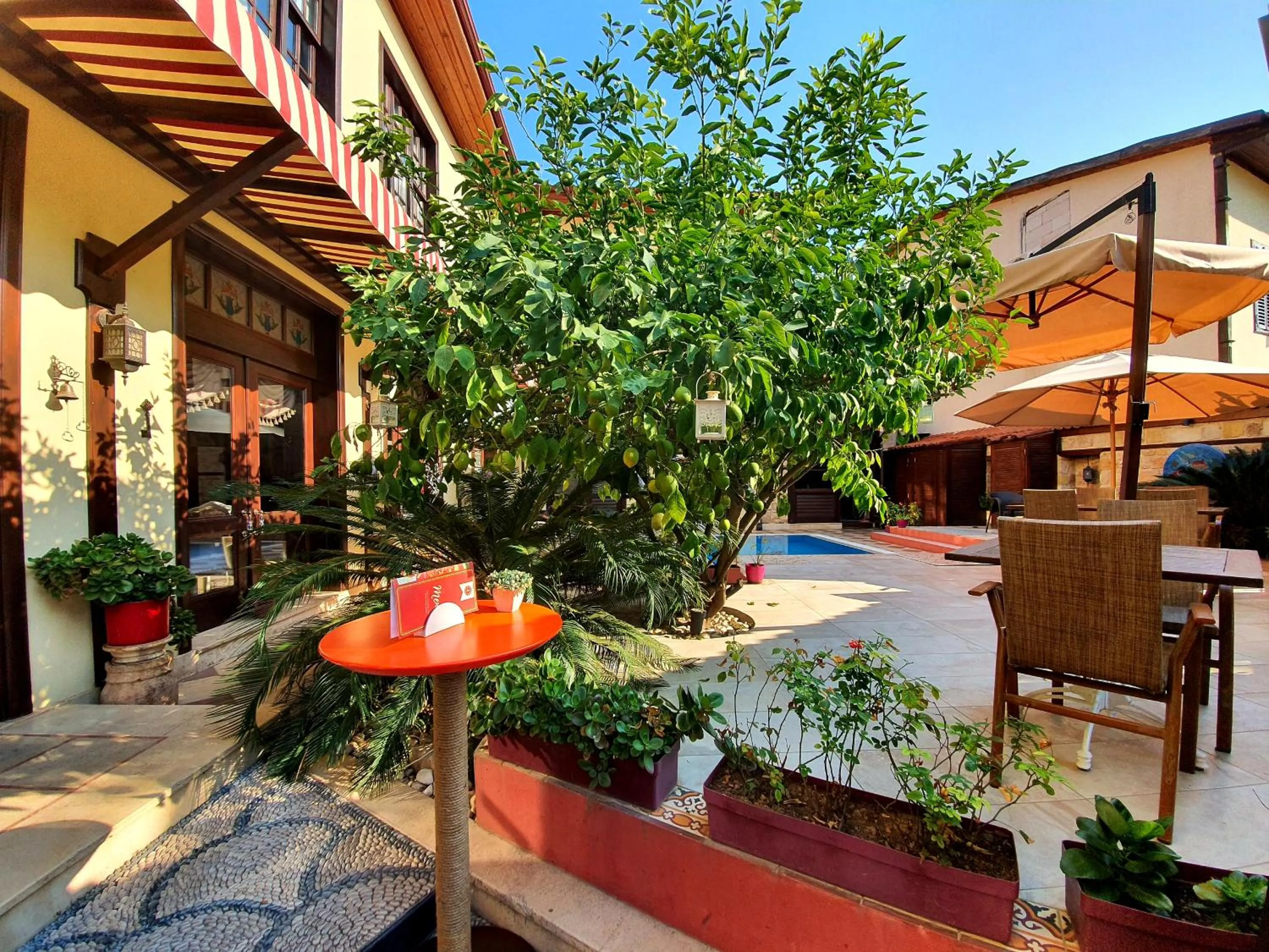 Garden in Eski Masal Hotel - Special Class