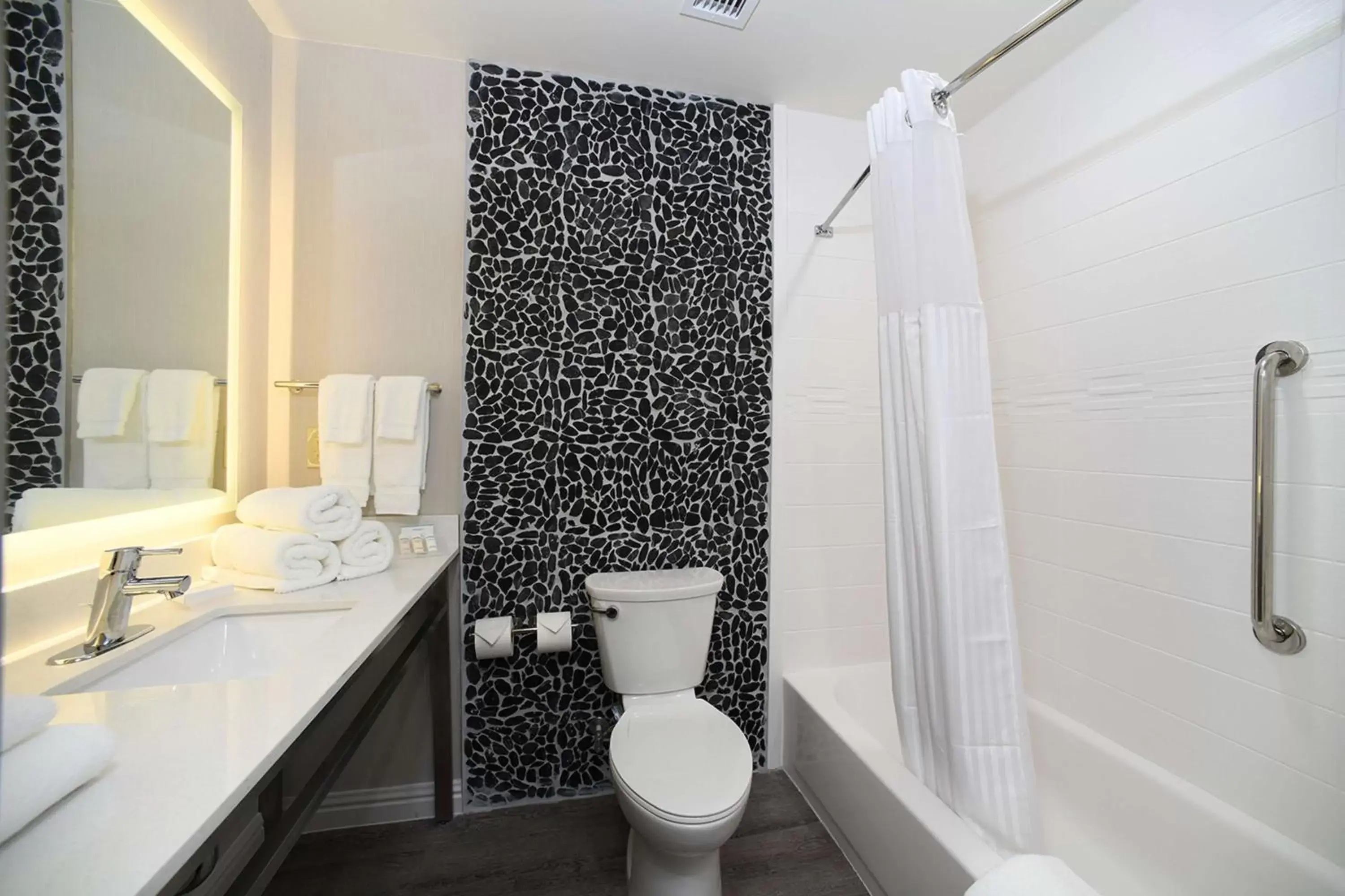 Bathroom in Hilton Garden Inn Jacksonville
