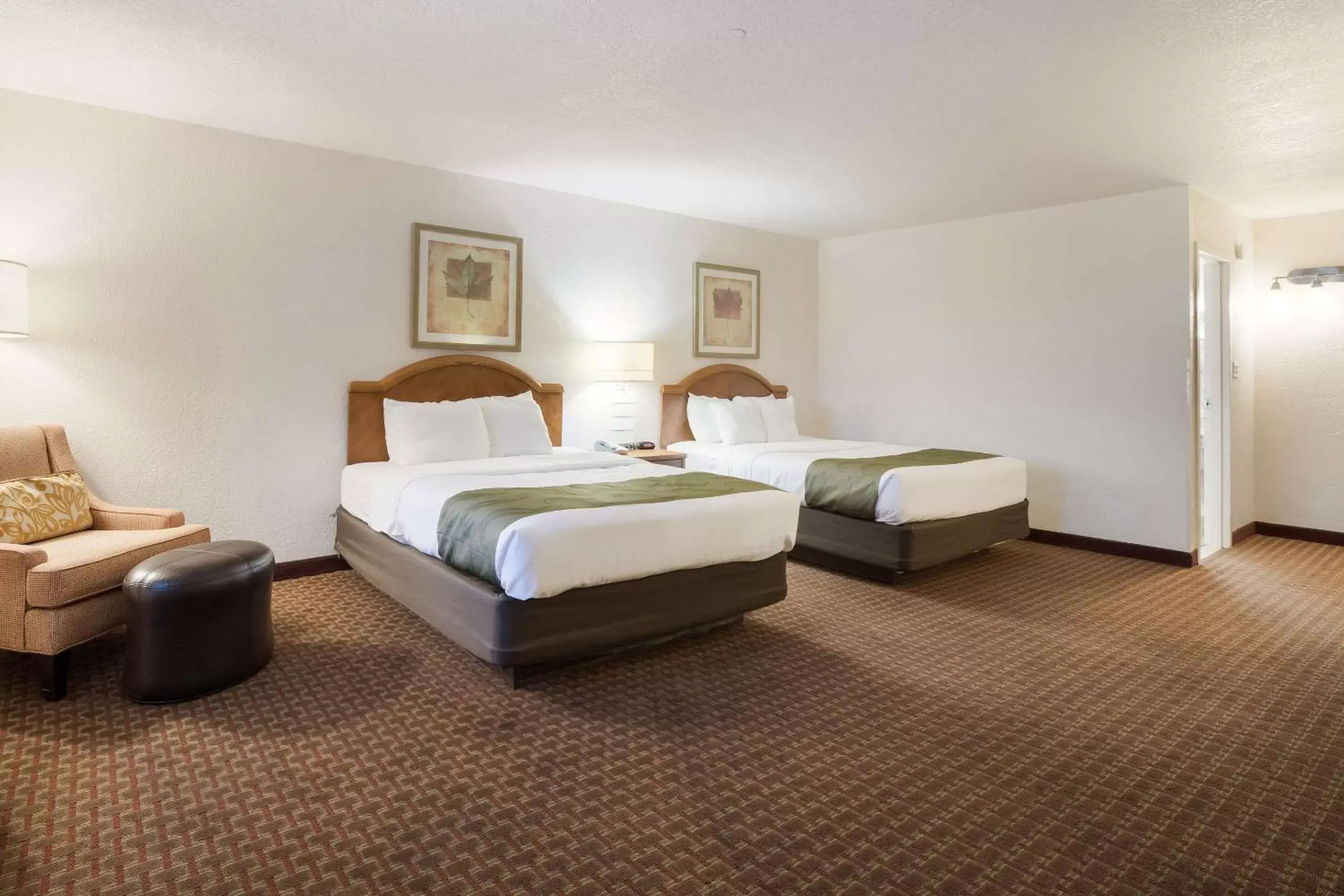 Photo of the whole room, Bed in Quality Inn & Suites Lake Havasu City