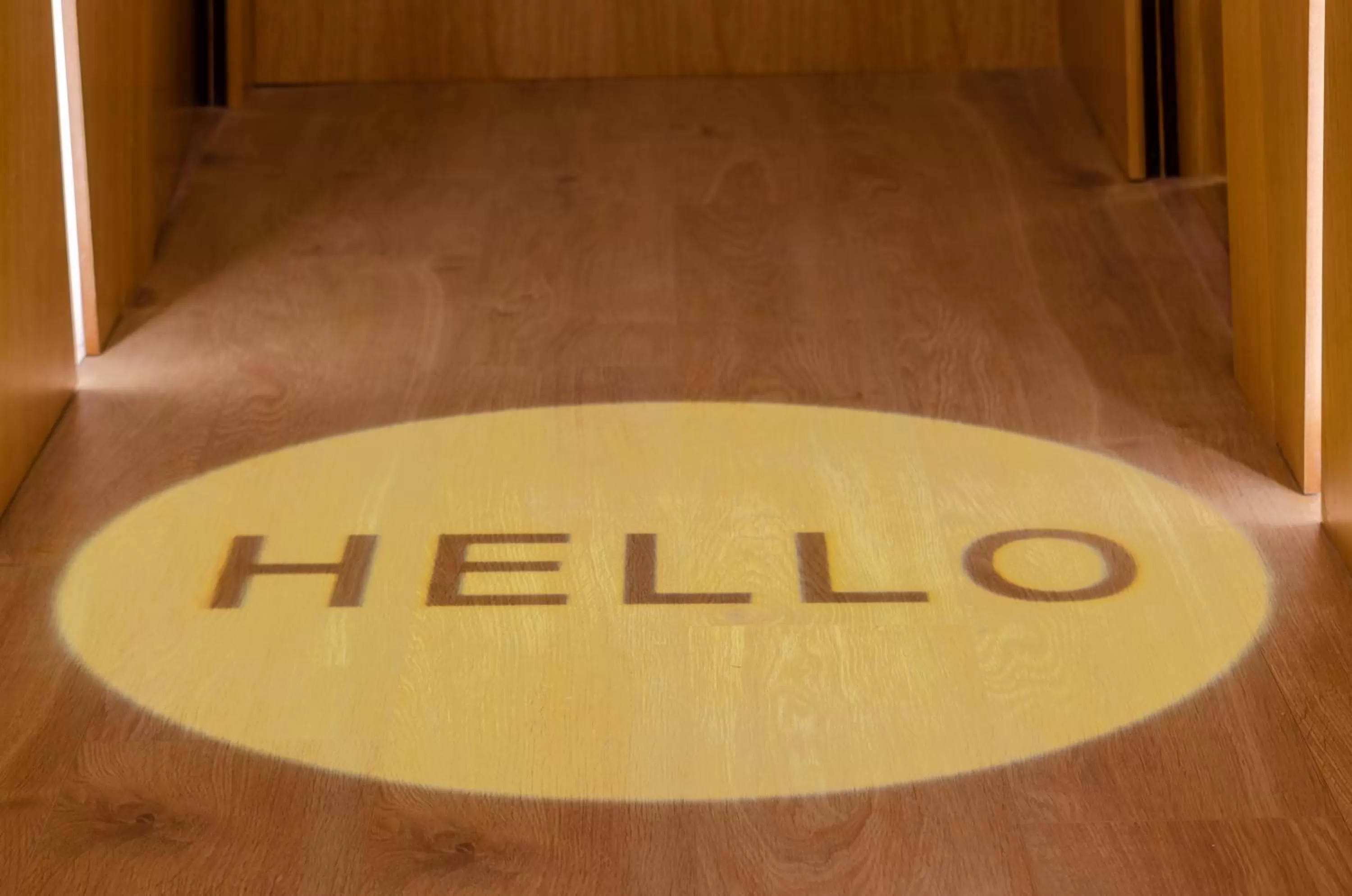 Area and facilities in Rossio Plaza Hotel