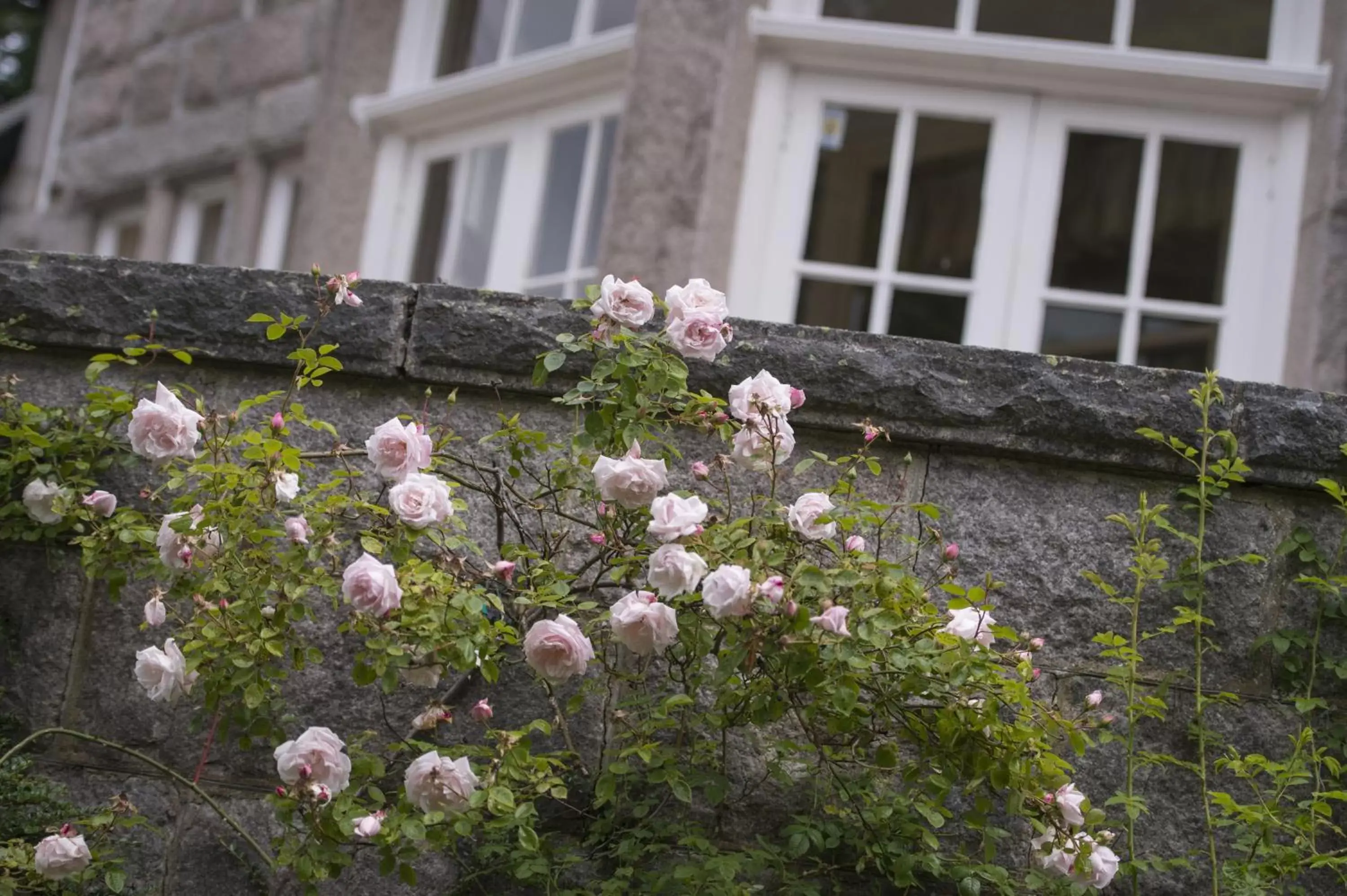 Garden in Lys-Na-Greyne