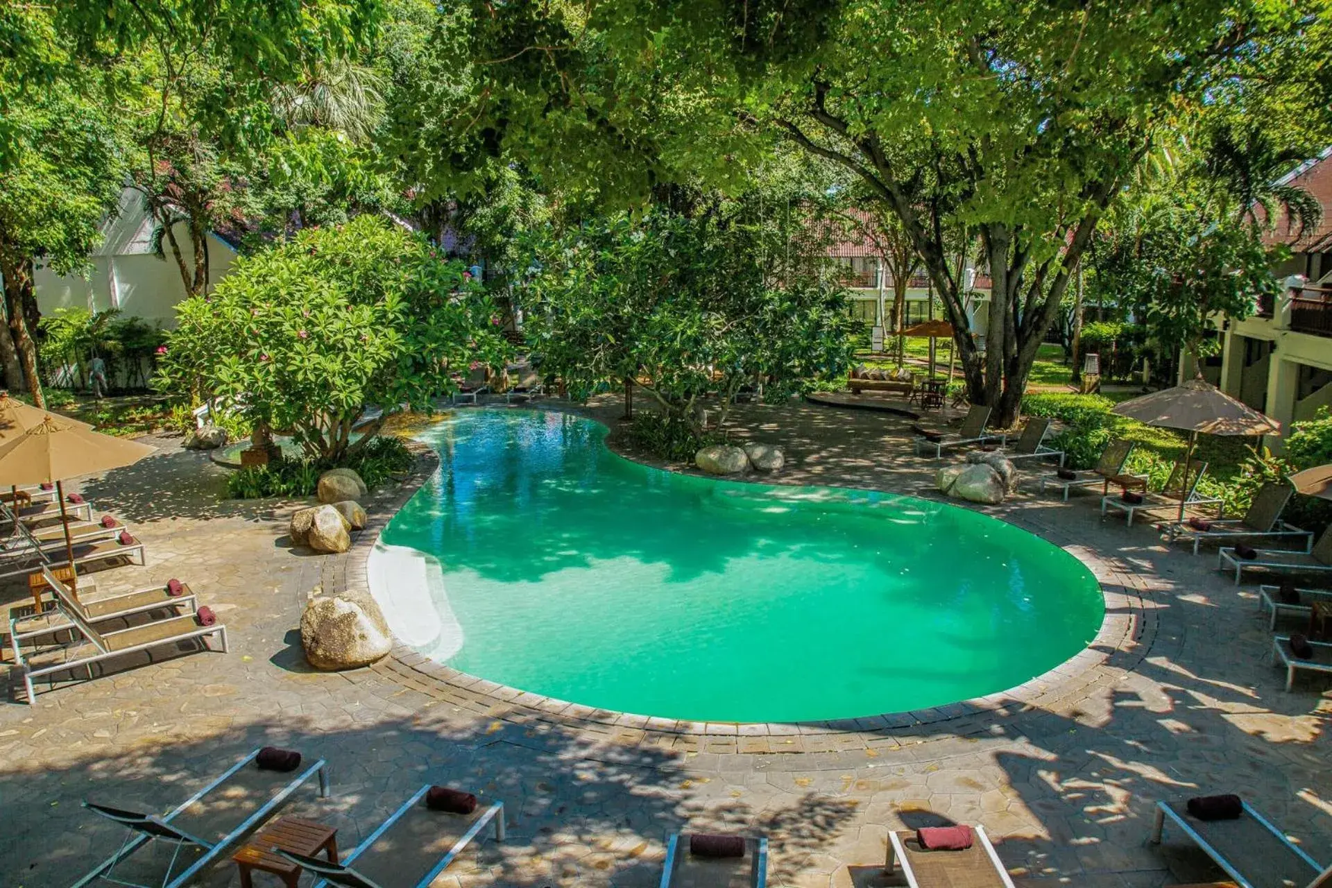 Swimming pool in Woodlands Hotel and Resort Pattaya Swimming pool in Woodlands Hotel and Resort Pattaya